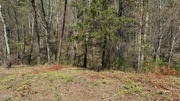 $25,000 | 475 Bayside Boulevard, Unit 2, Bean Station, TN 37708