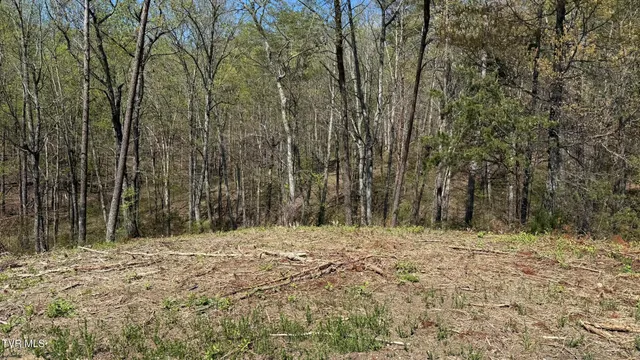 $25,000 | 475 Bayside Boulevard, Unit 2, Bean Station, TN 37708