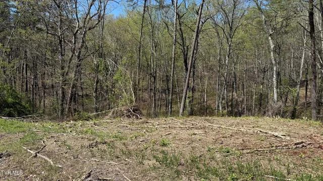 $25,000 | 475 Bayside Boulevard, Unit 2, Bean Station, TN 37708