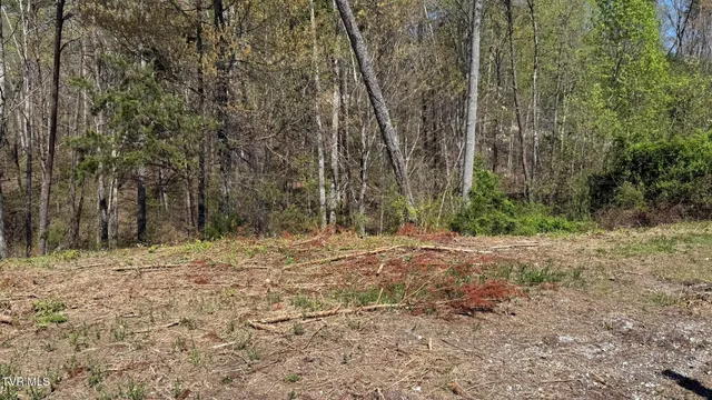 $25,000 | 475 Bayside Boulevard, Unit 2, Bean Station, TN 37708