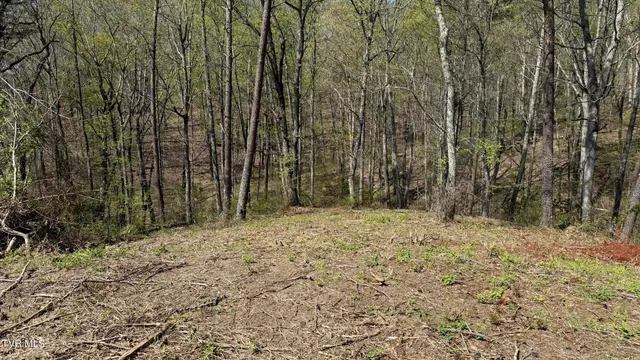 $25,000 | 475 Bayside Boulevard, Unit 2, Bean Station, TN 37708