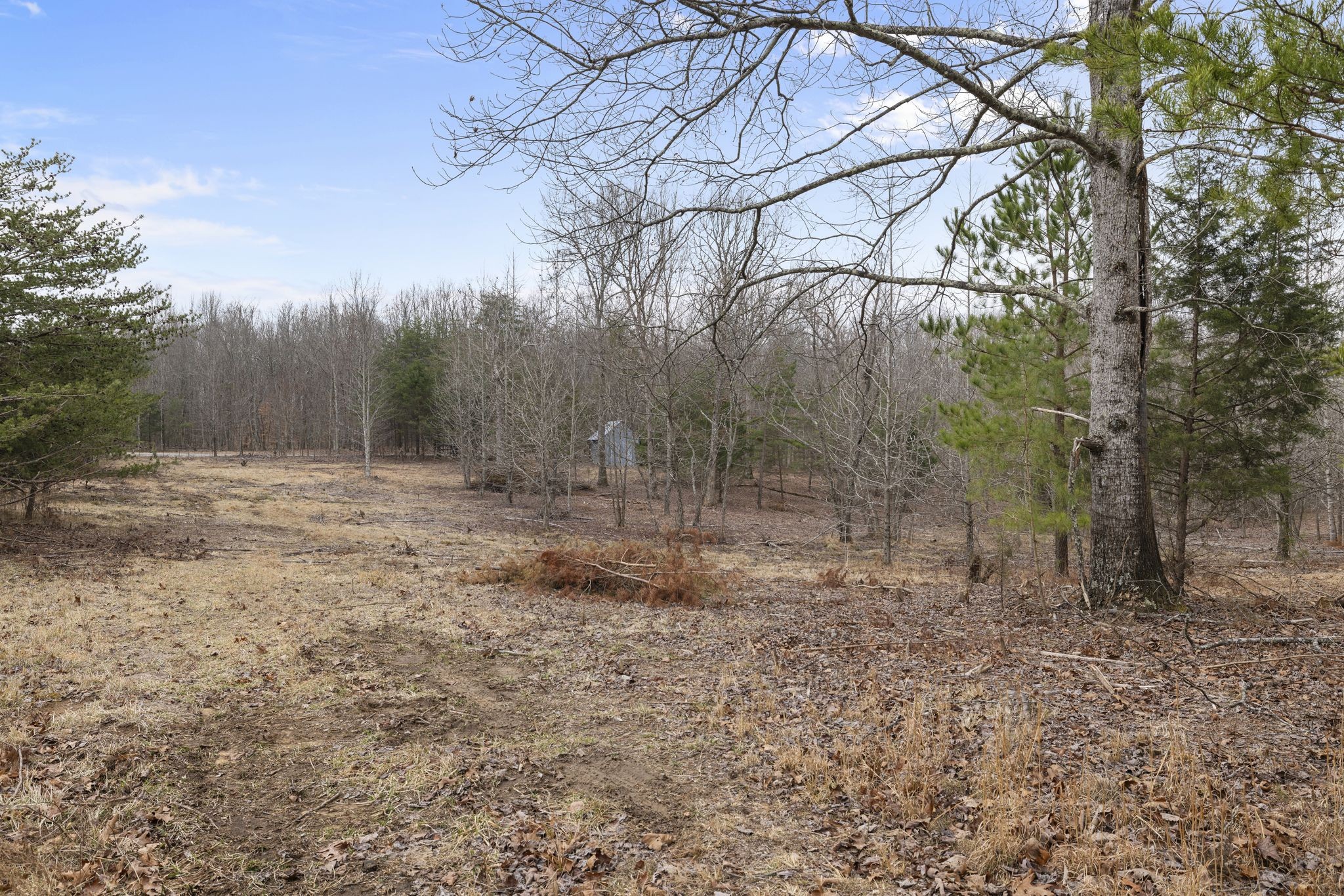 1544 Jackson Point Road Sewanee, TN 37375 - Photo 12 of 33 Gallery Image 12