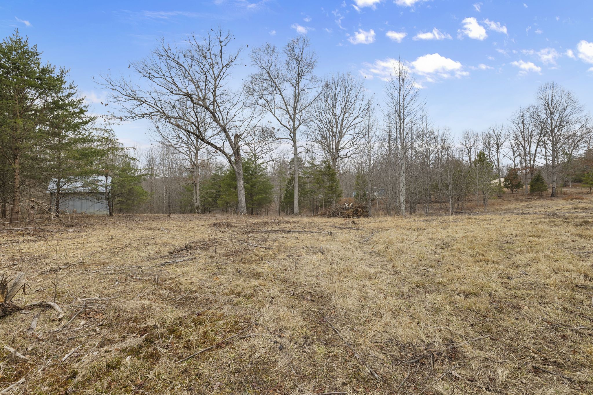 1544 Jackson Point Road Sewanee, TN 37375 - Photo 16 of 33 Gallery Image 16