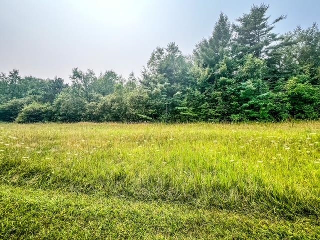 5495 West Clarence Road Harrison, MI 48625 - Photo 26 of 44