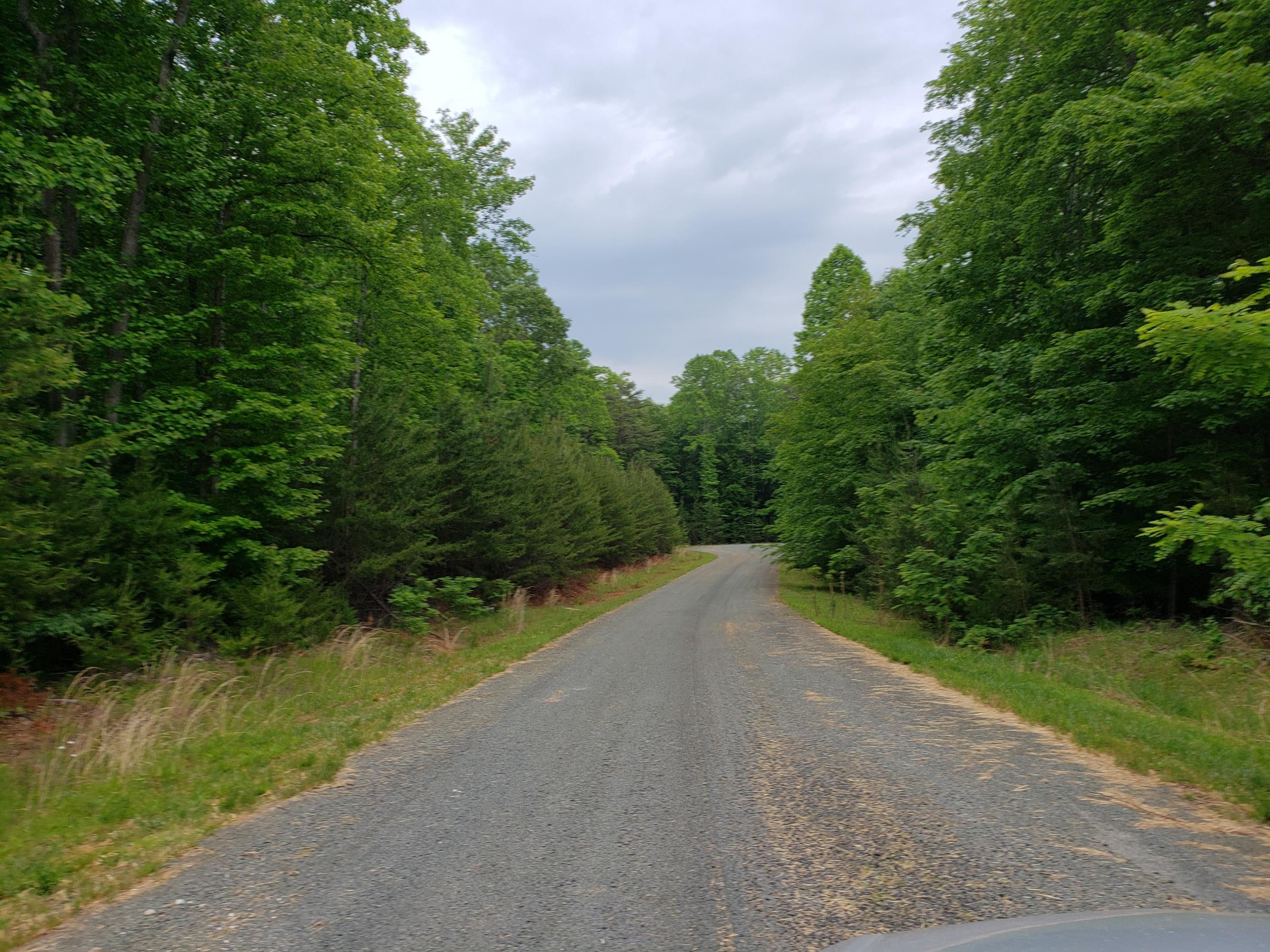 0 Morgans Fork Road Penhook, VA 24137 - Photo 2 of 5 a view of a lake with a yard and large trees