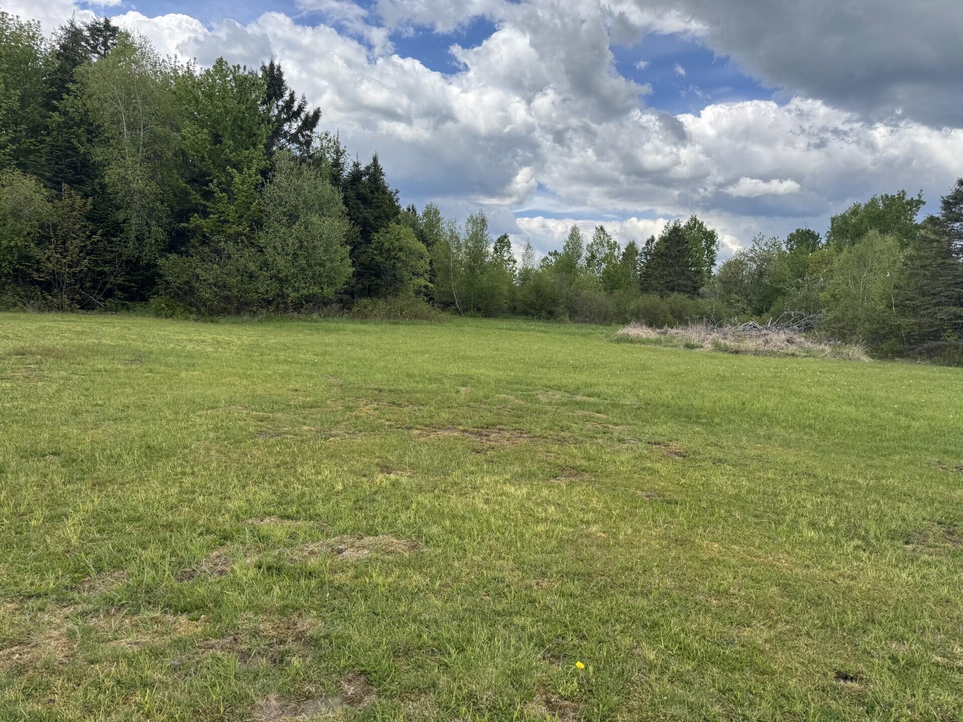 328 Clark Road Merrill, ME 04780 - Photo 23 of 55 Back Acreage (328 Clark Road) II