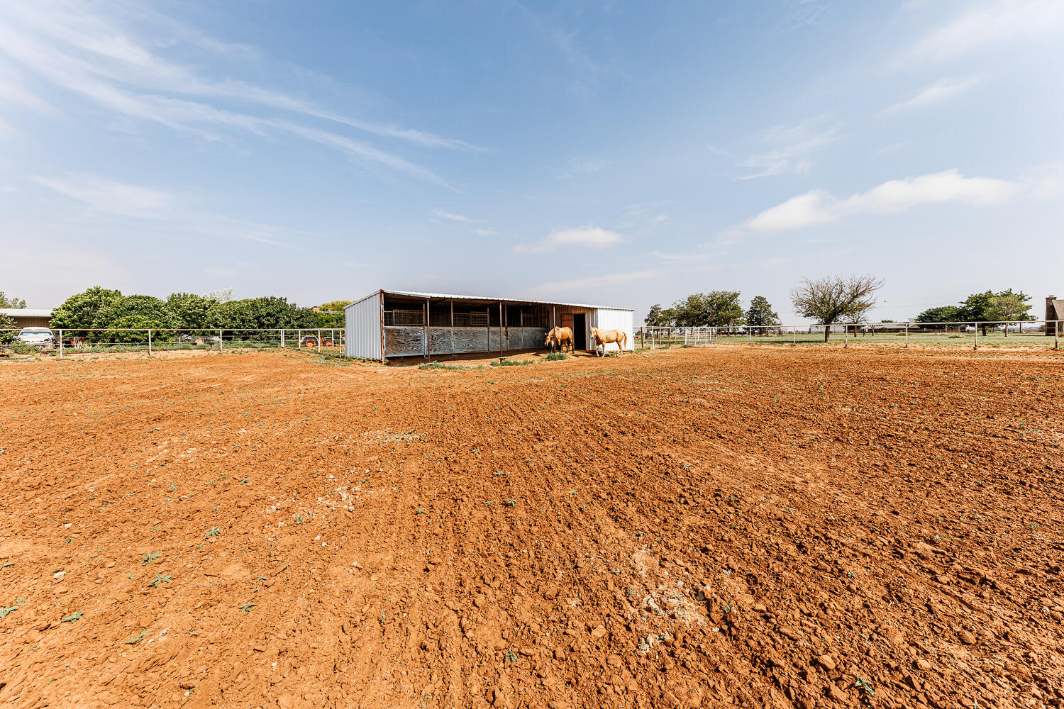 10025 Woodrow Road Ropesville, TX 79358 - Photo 50 of 78 Horse Barn & Pasture