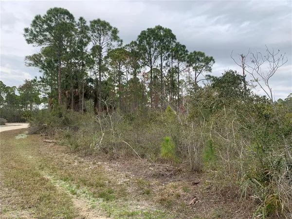 $35,000 | Undisclosed Address, Cedar Key, FL 32625
