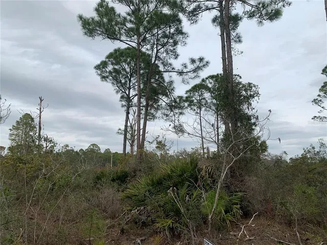 $35,000 | Undisclosed Address, Cedar Key, FL 32625