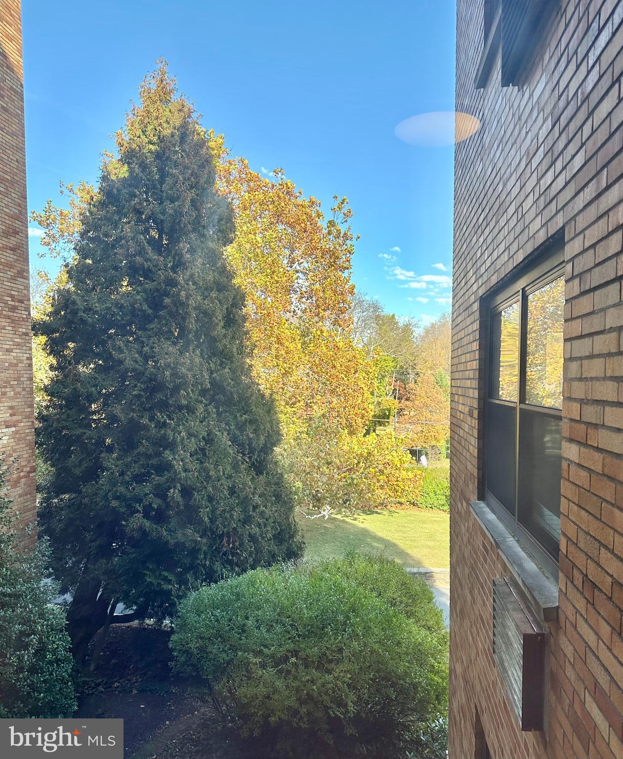 40 Old Lancaster Road, Unit 205 Merion Station, PA 19066 - Photo 12 of 39 View from dining room windows