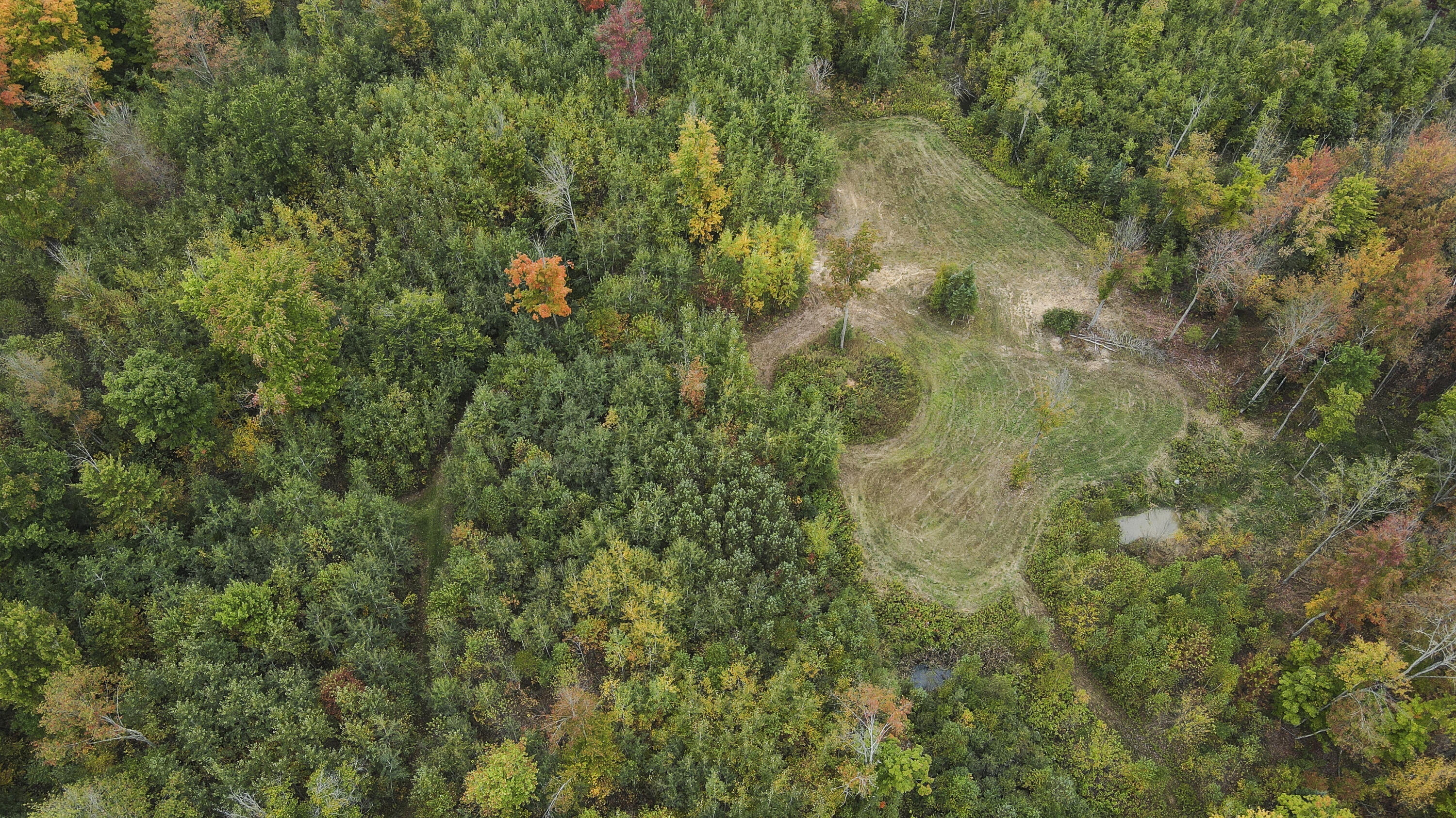 11048 Wilson Road Marion, MI 49665 - Photo 15 of 89 008(1)