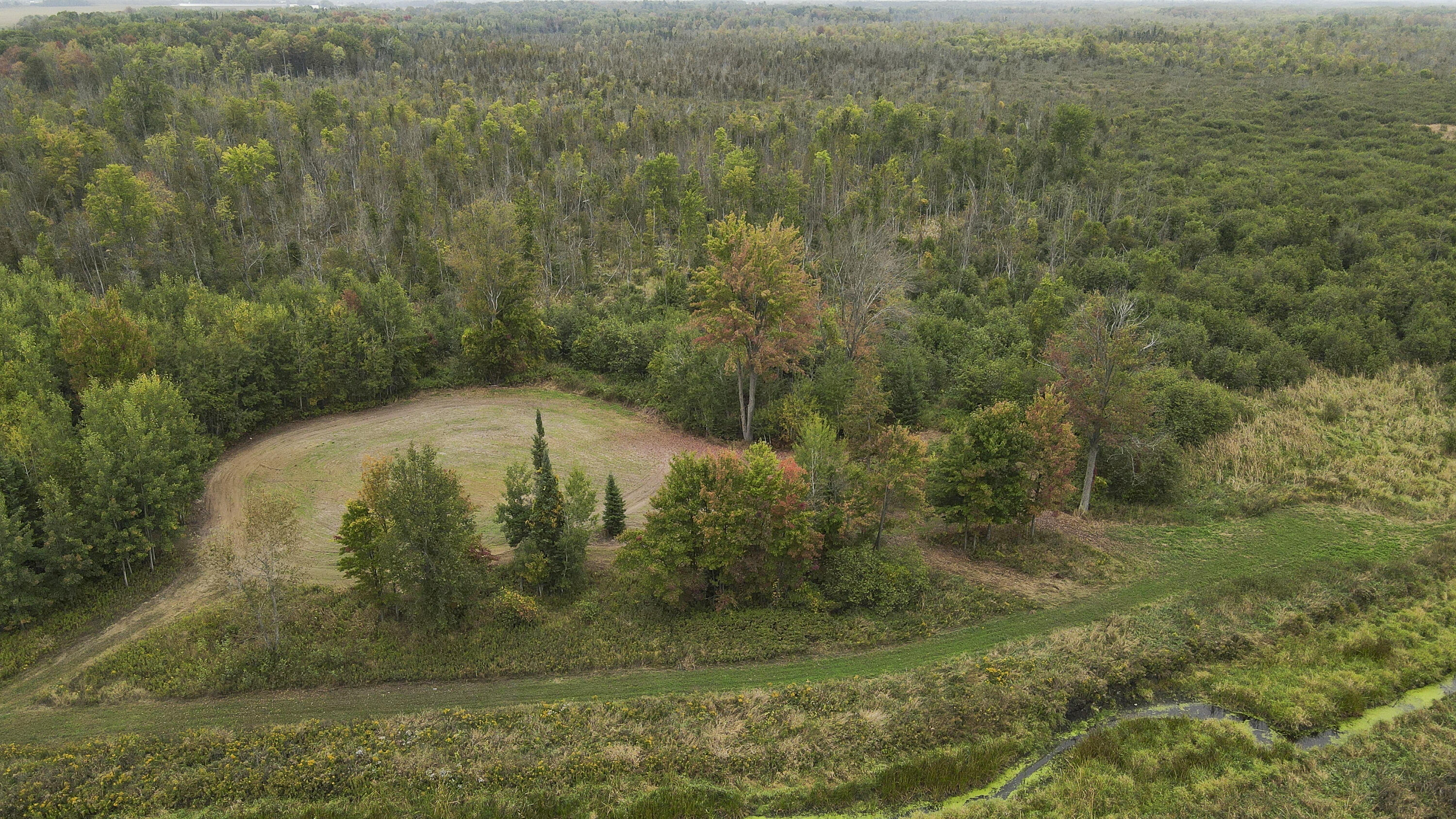 11048 Wilson Road Marion, MI 49665 - Photo 21 of 89 012