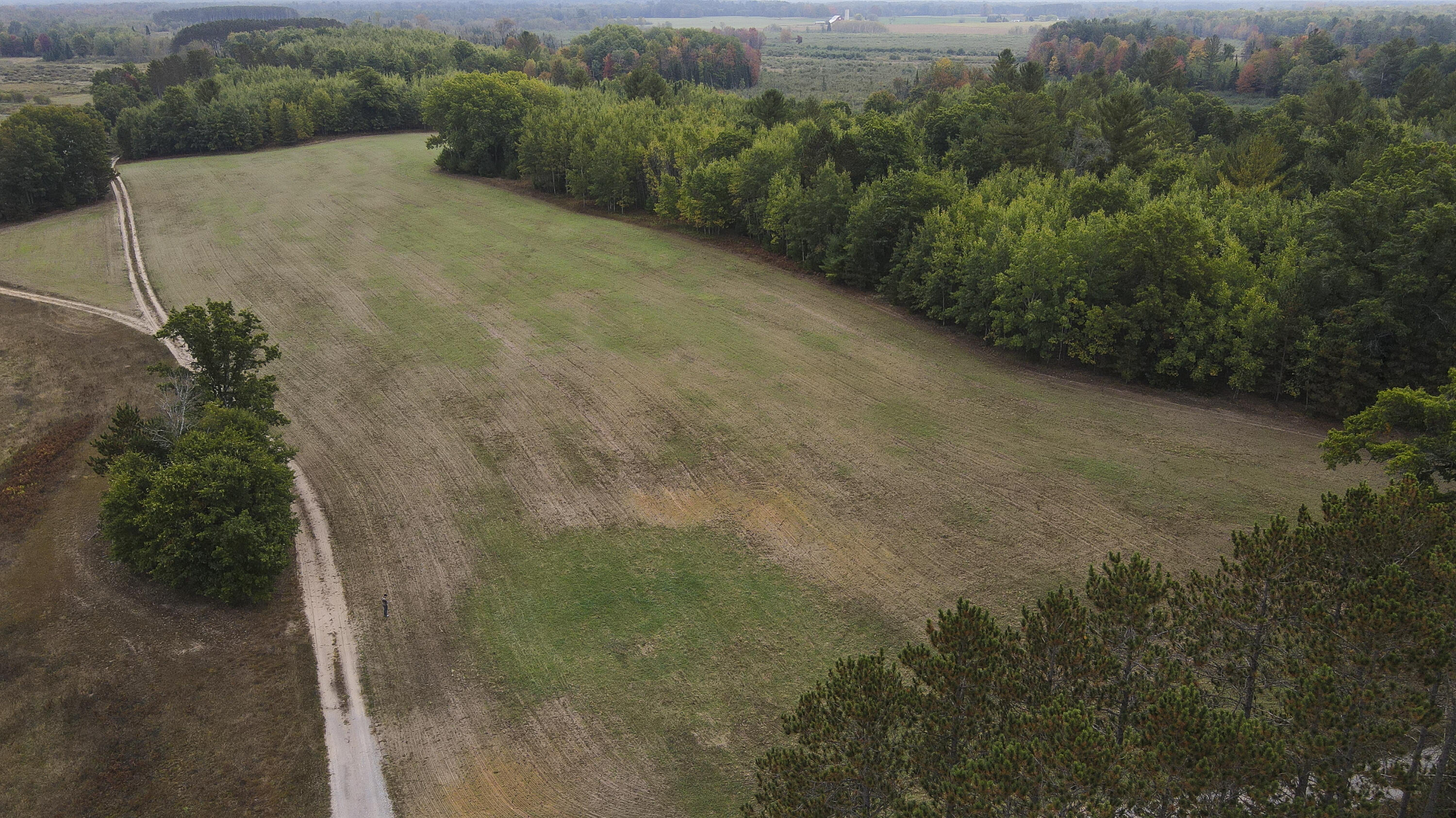 11048 Wilson Road Marion, MI 49665 - Photo 26 of 89 Clare-5