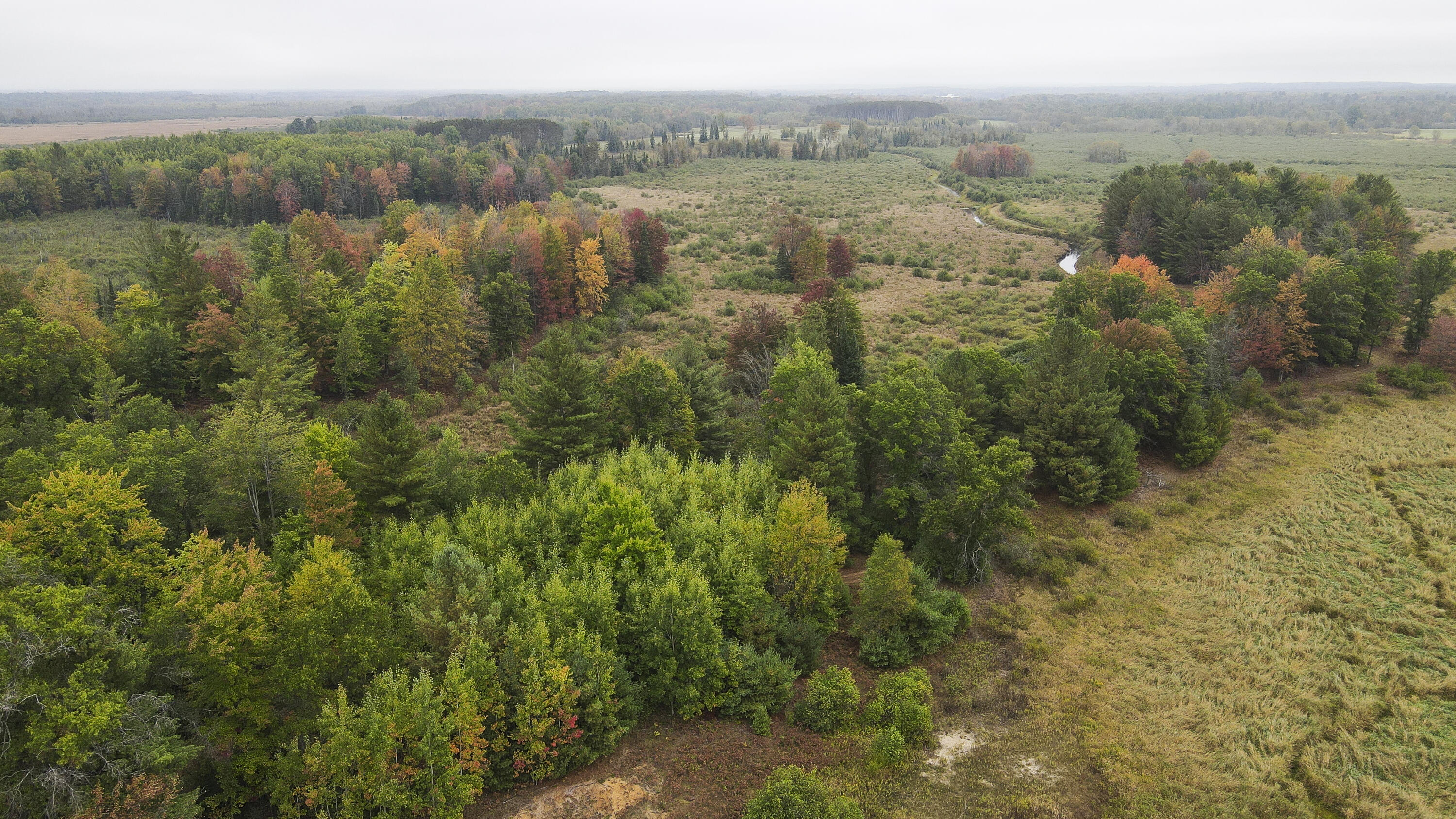 11048 Wilson Road Marion, MI 49665 - Photo 29 of 89 Clare-13