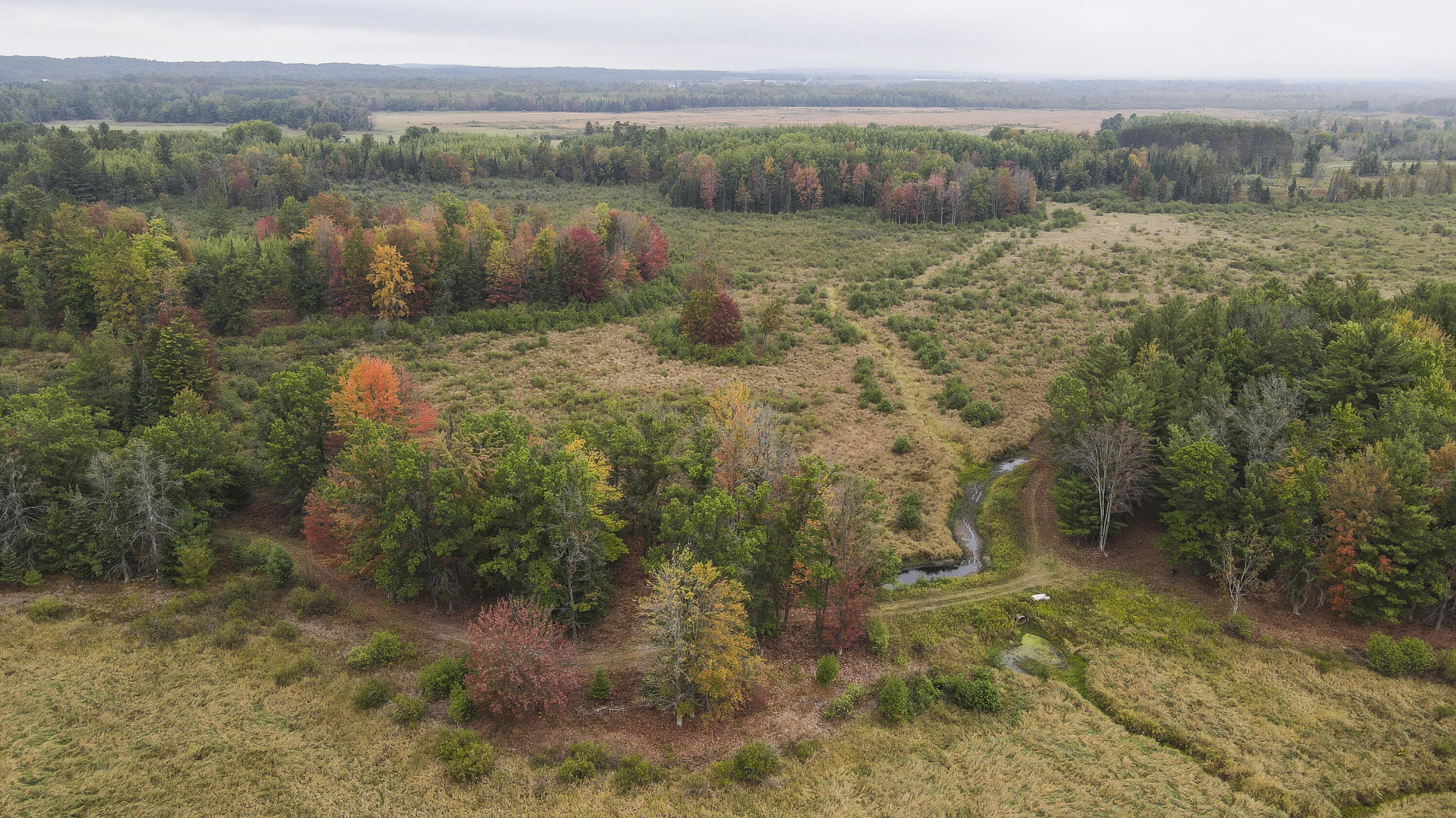 11048 Wilson Road Marion, MI 49665 - Photo 30 of 89 Clare-19