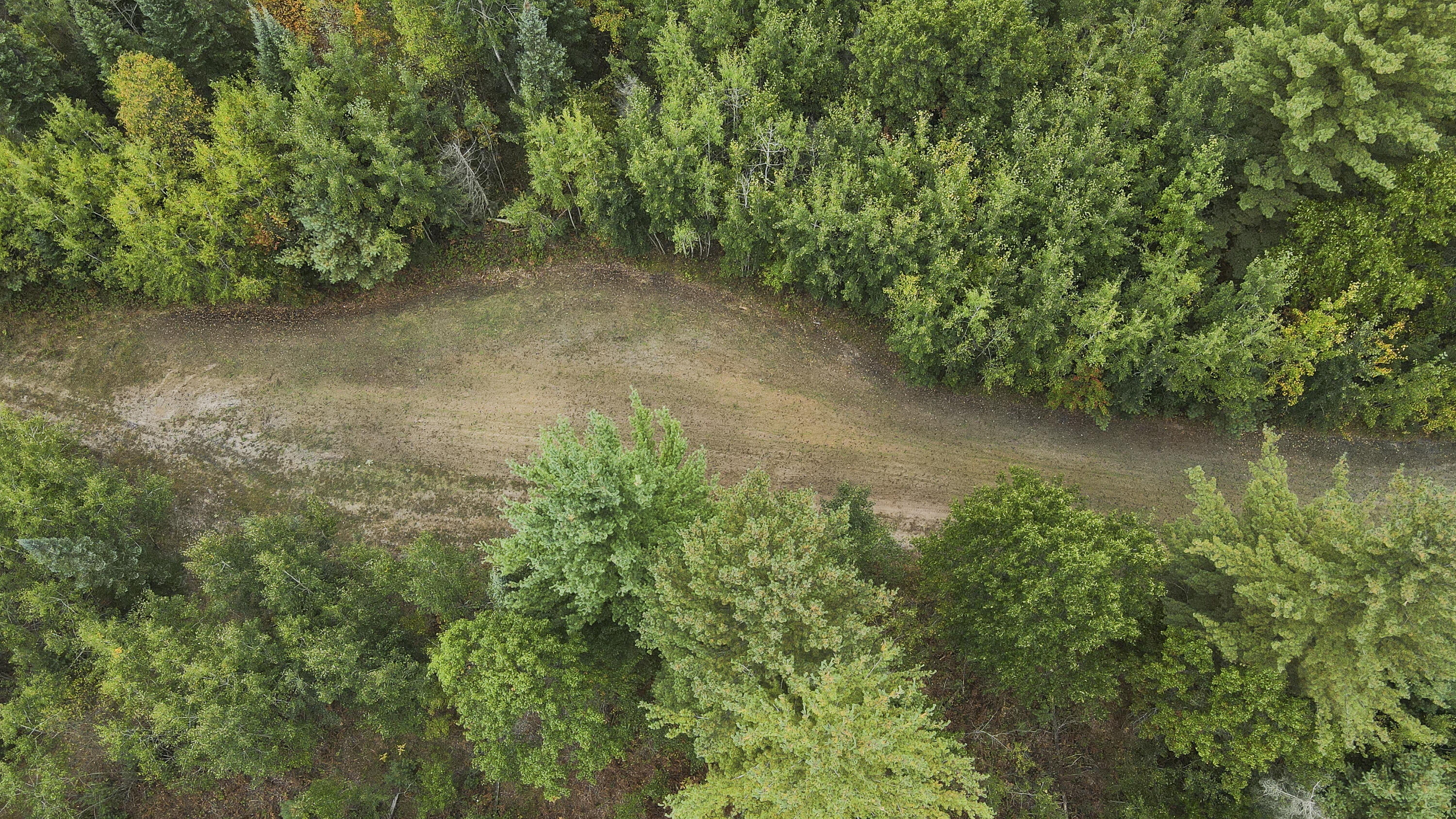 11048 Wilson Road Marion, MI 49665 - Photo 32 of 89 Clare-22