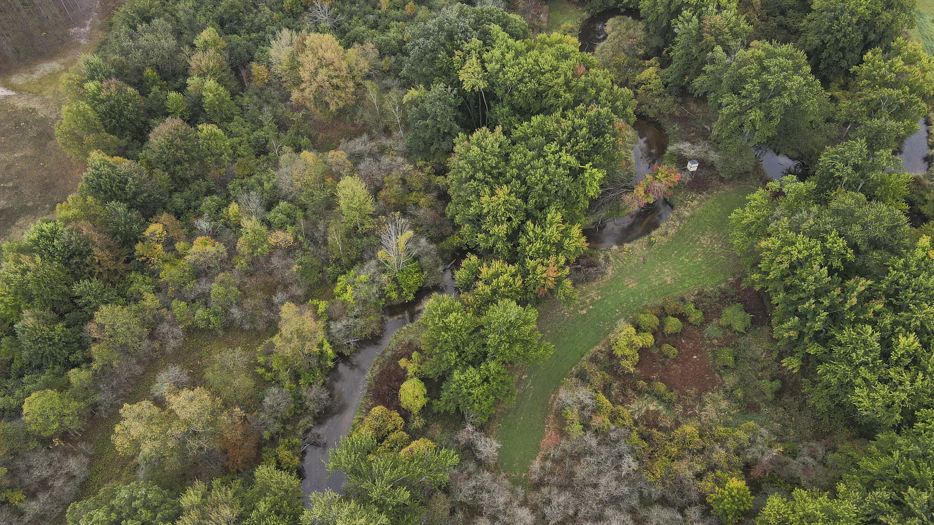 11048 Wilson Road Marion, MI 49665 - Photo 34 of 89 Clare-27