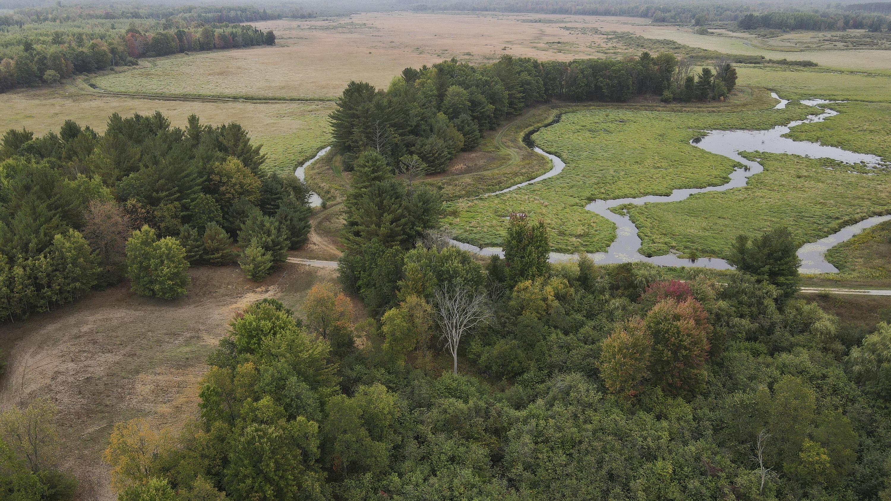 11048 Wilson Road Marion, MI 49665 - Photo 37 of 89 Clare-33