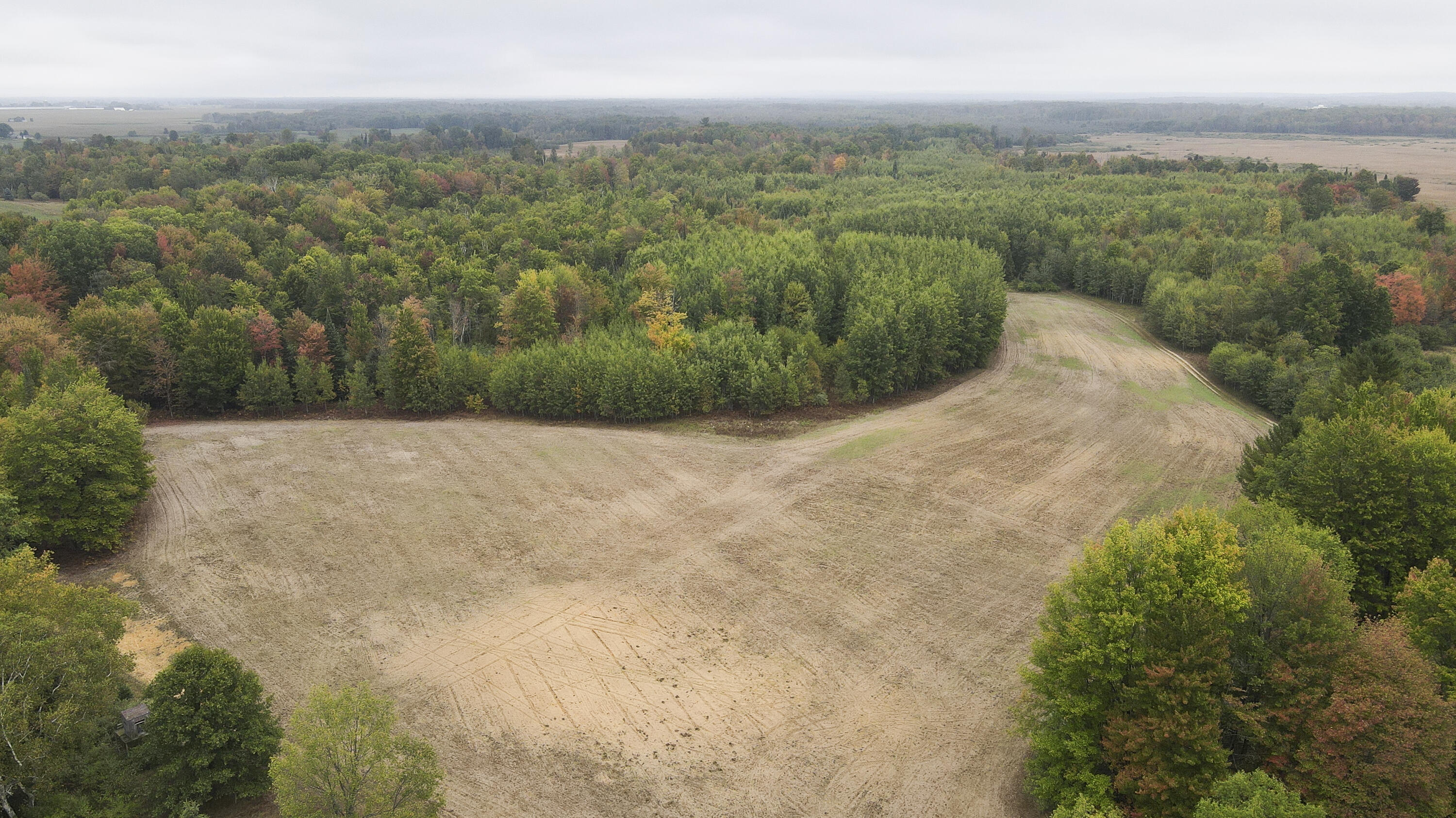 11048 Wilson Road Marion, MI 49665 - Photo 38 of 89 Clare-36