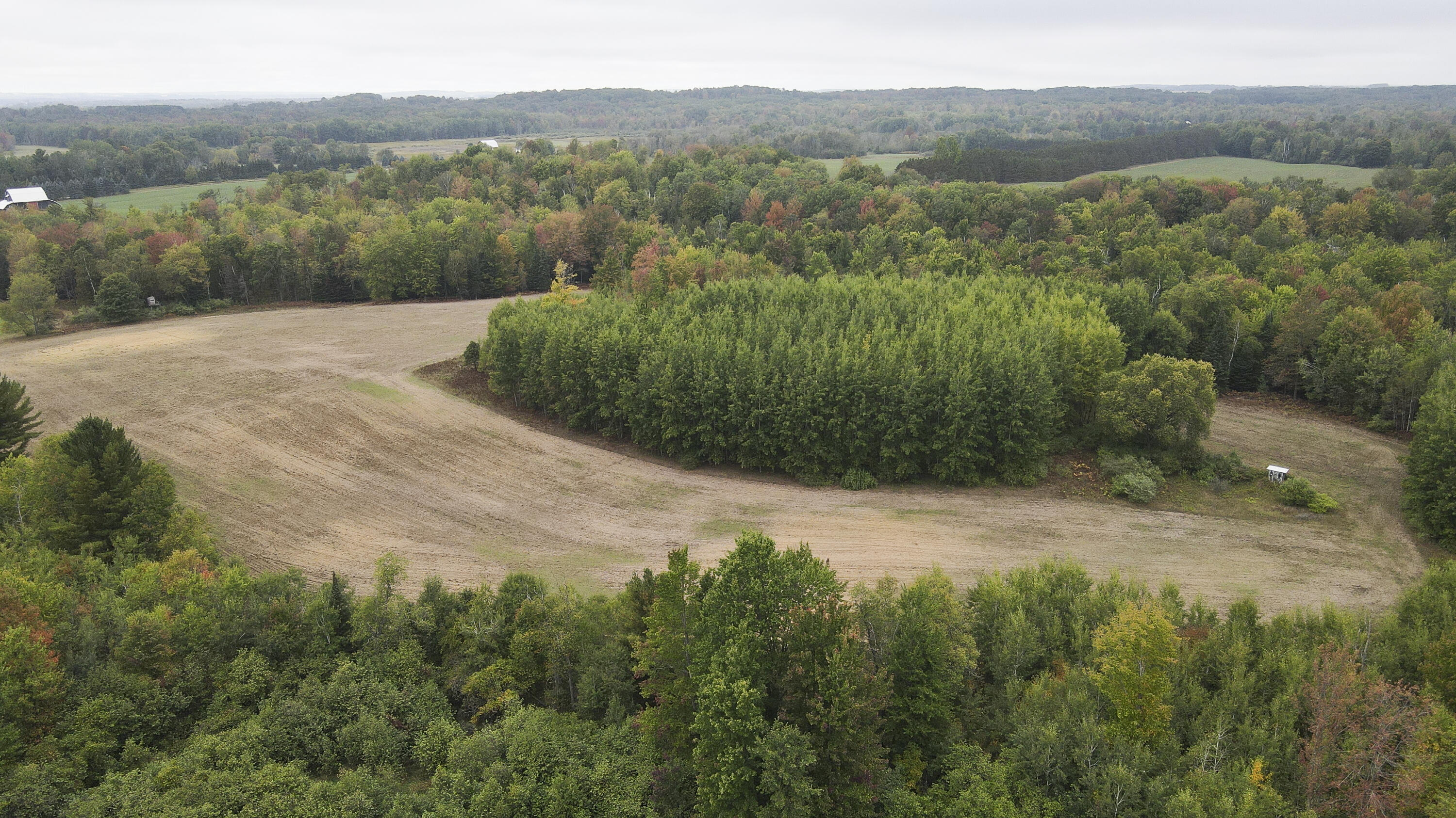 11048 Wilson Road Marion, MI 49665 - Photo 39 of 89 Clare-38