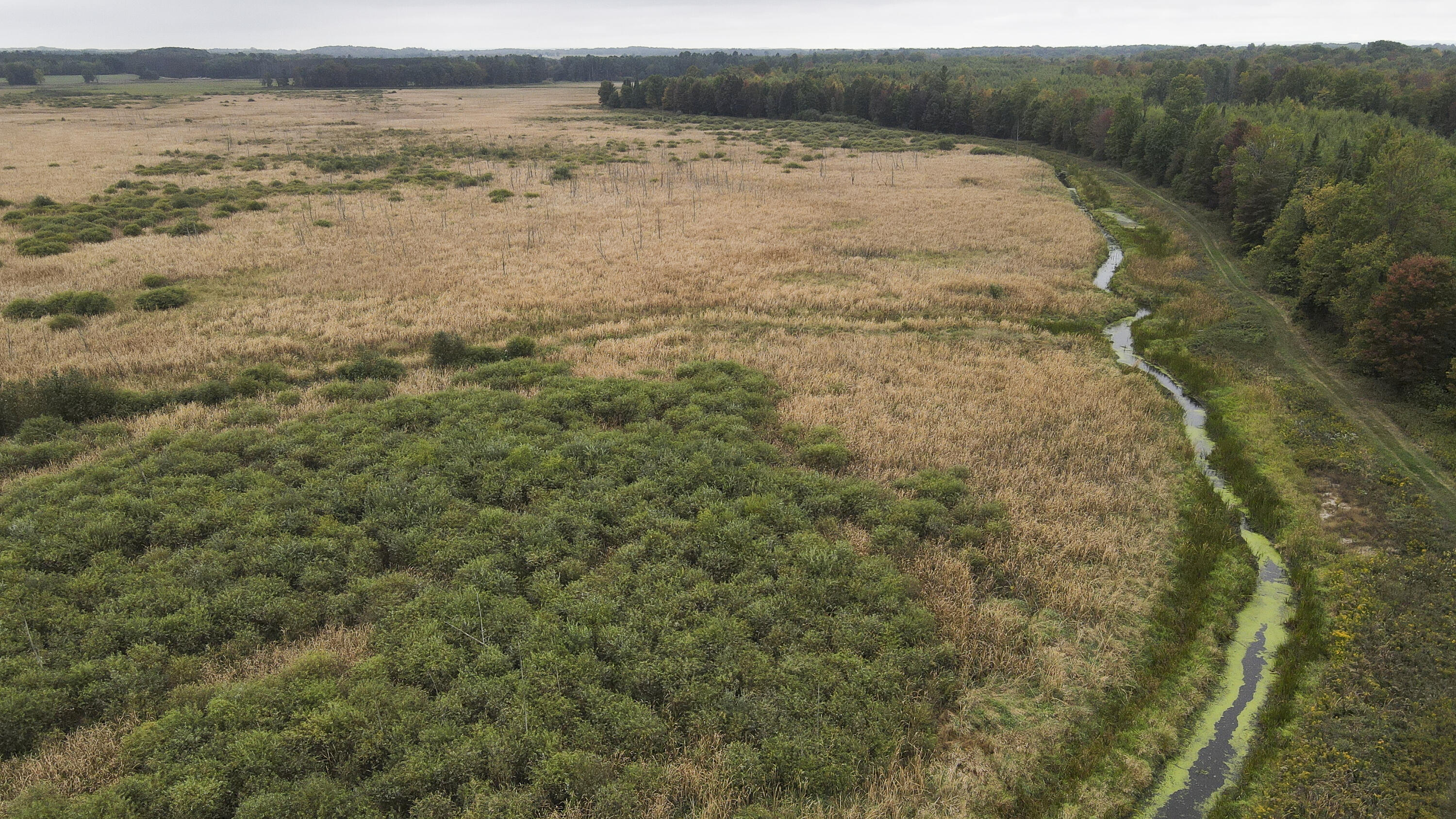 11048 Wilson Road Marion, MI 49665 - Photo 40 of 89 Clare-40