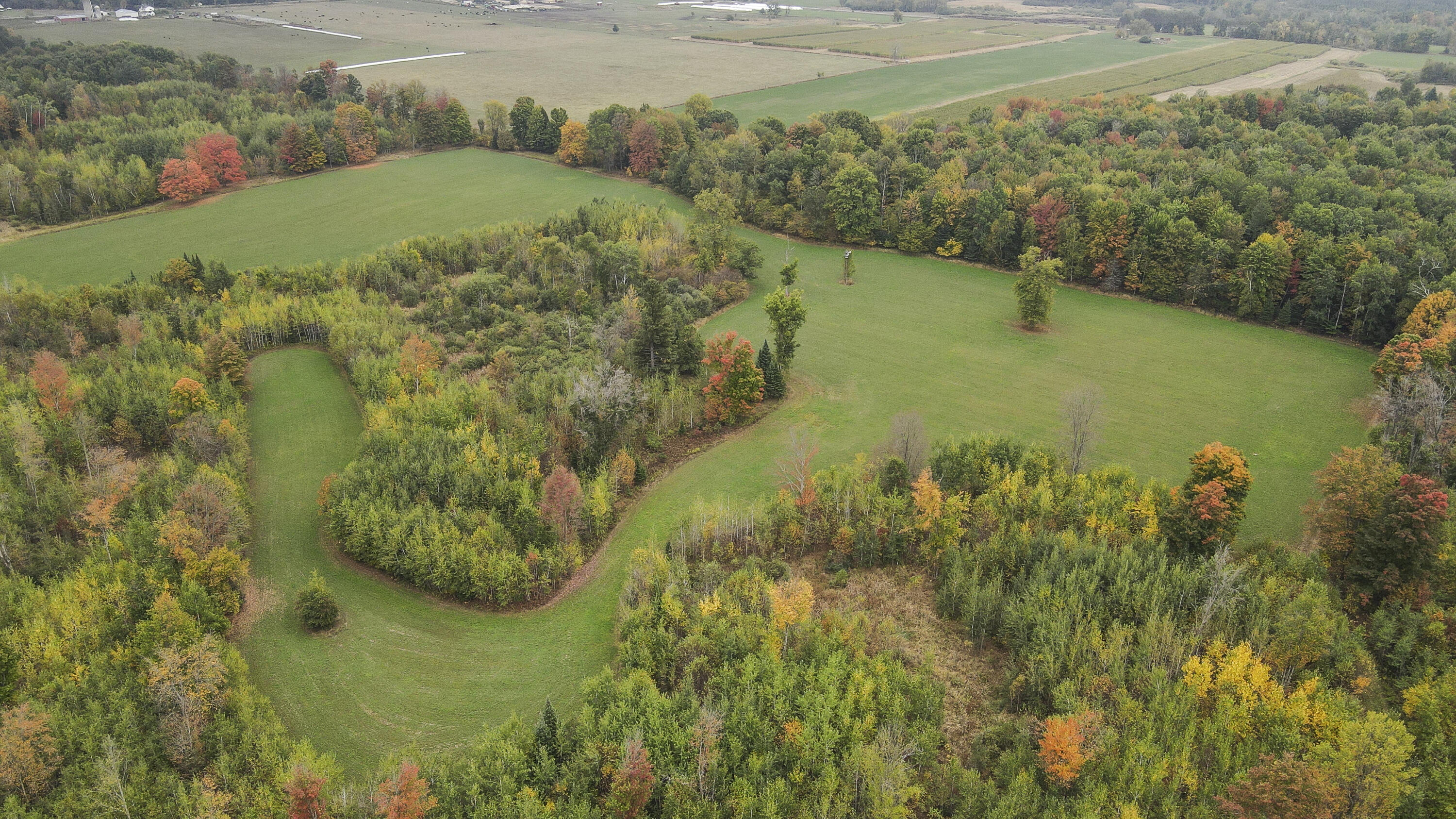 11048 Wilson Road Marion, MI 49665 - Photo 4 of 89 003(1)