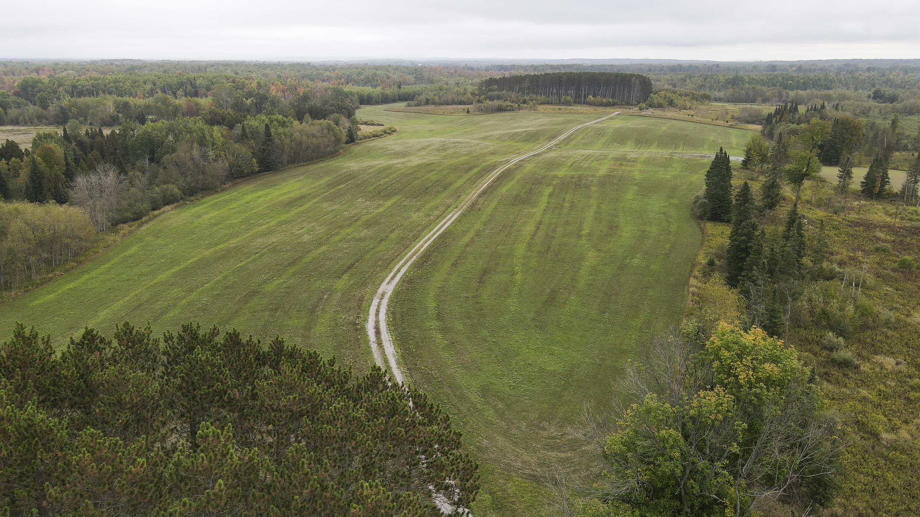 11048 Wilson Road Marion, MI 49665 - Photo 45 of 89 Clare-54