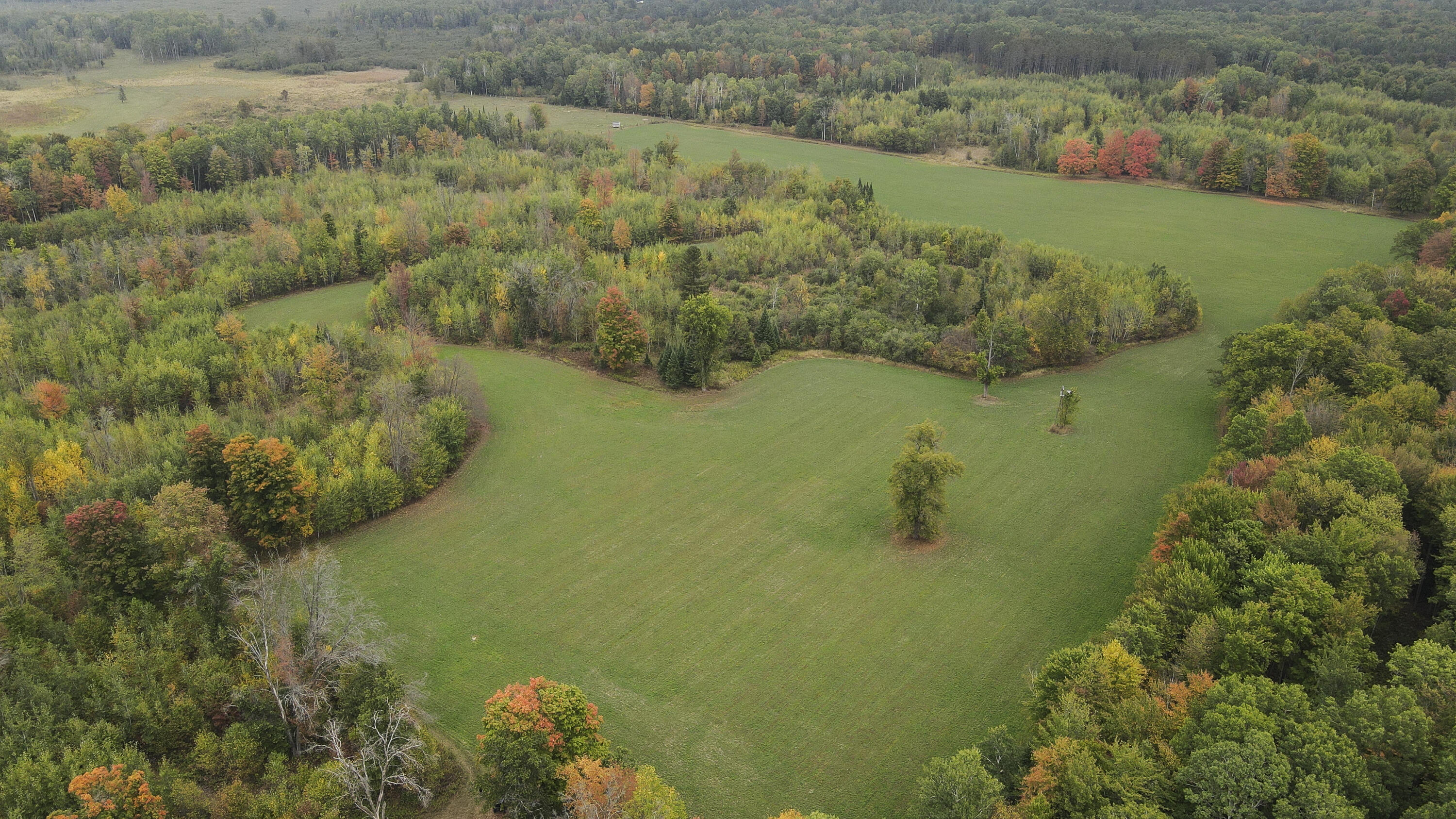 11048 Wilson Road Marion, MI 49665 - Photo 48 of 89 Clare-62