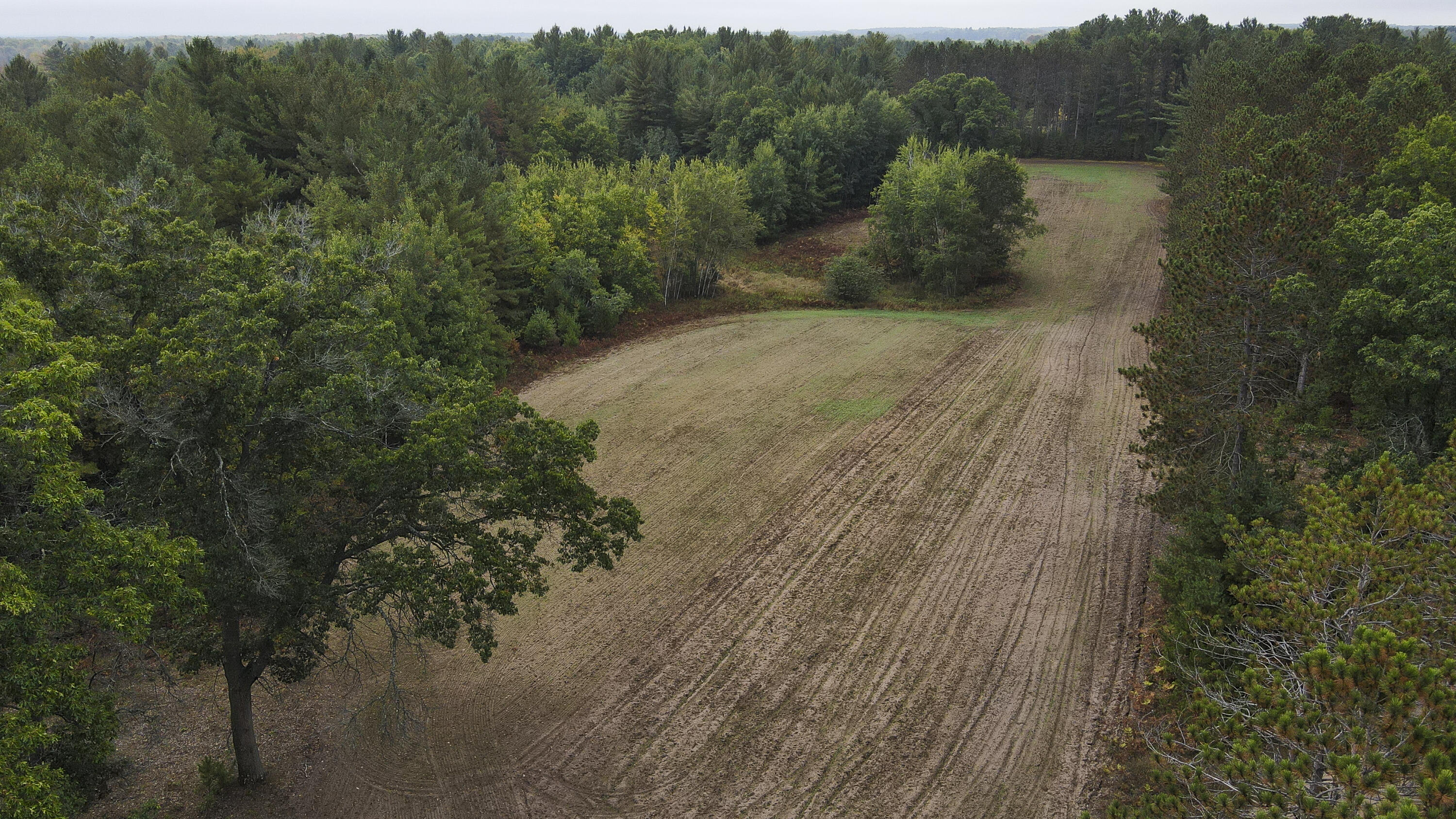 11048 Wilson Road Marion, MI 49665 - Photo 5 of 89 004