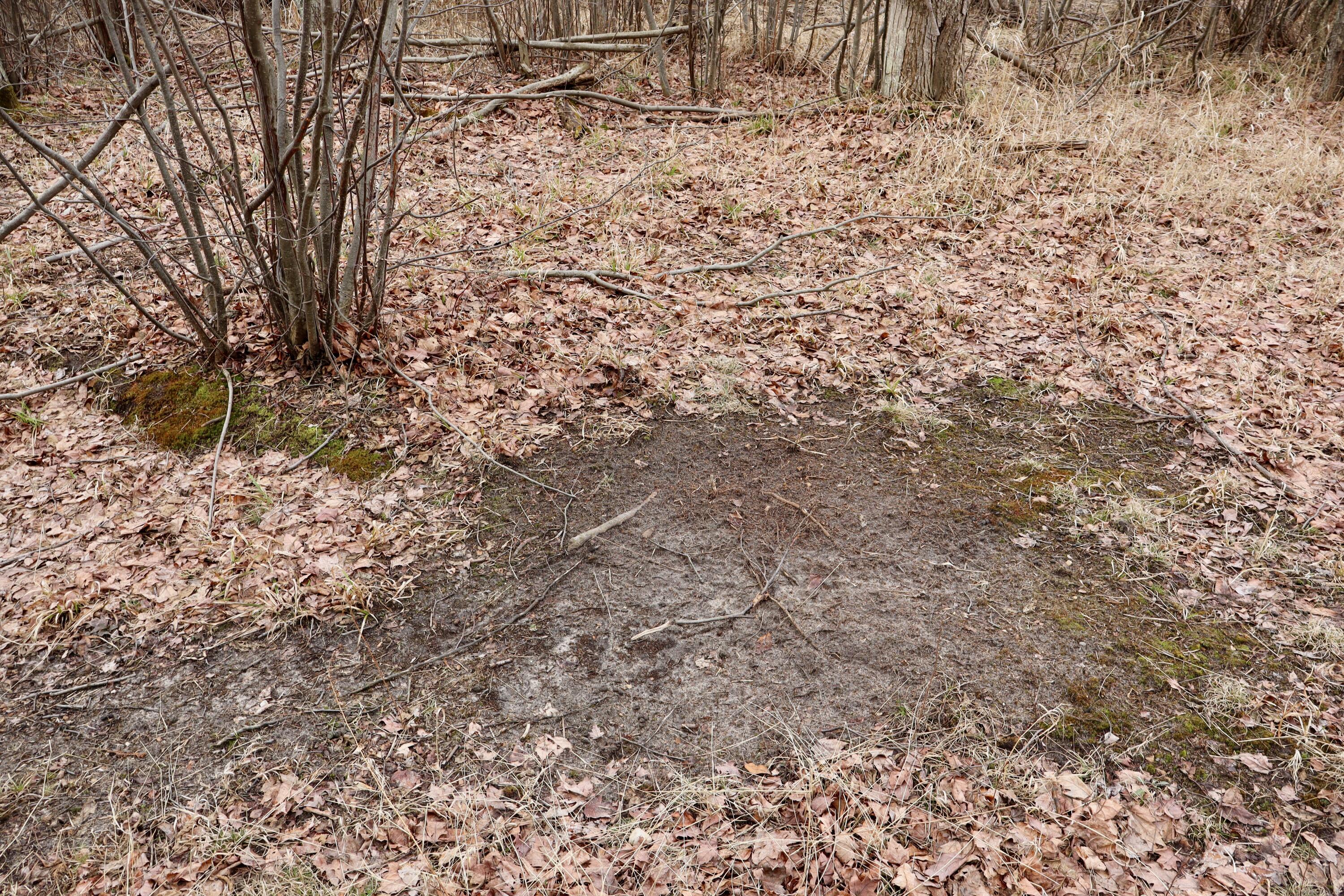 11048 Wilson Road Marion, MI 49665 - Photo 53 of 89 Clare-68