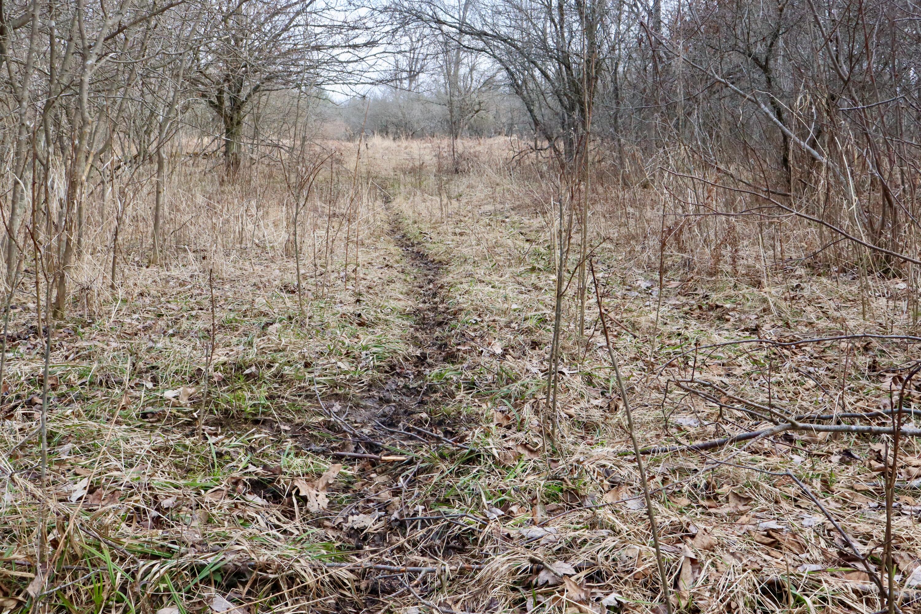 11048 Wilson Road Marion, MI 49665 - Photo 55 of 89 Clare-66