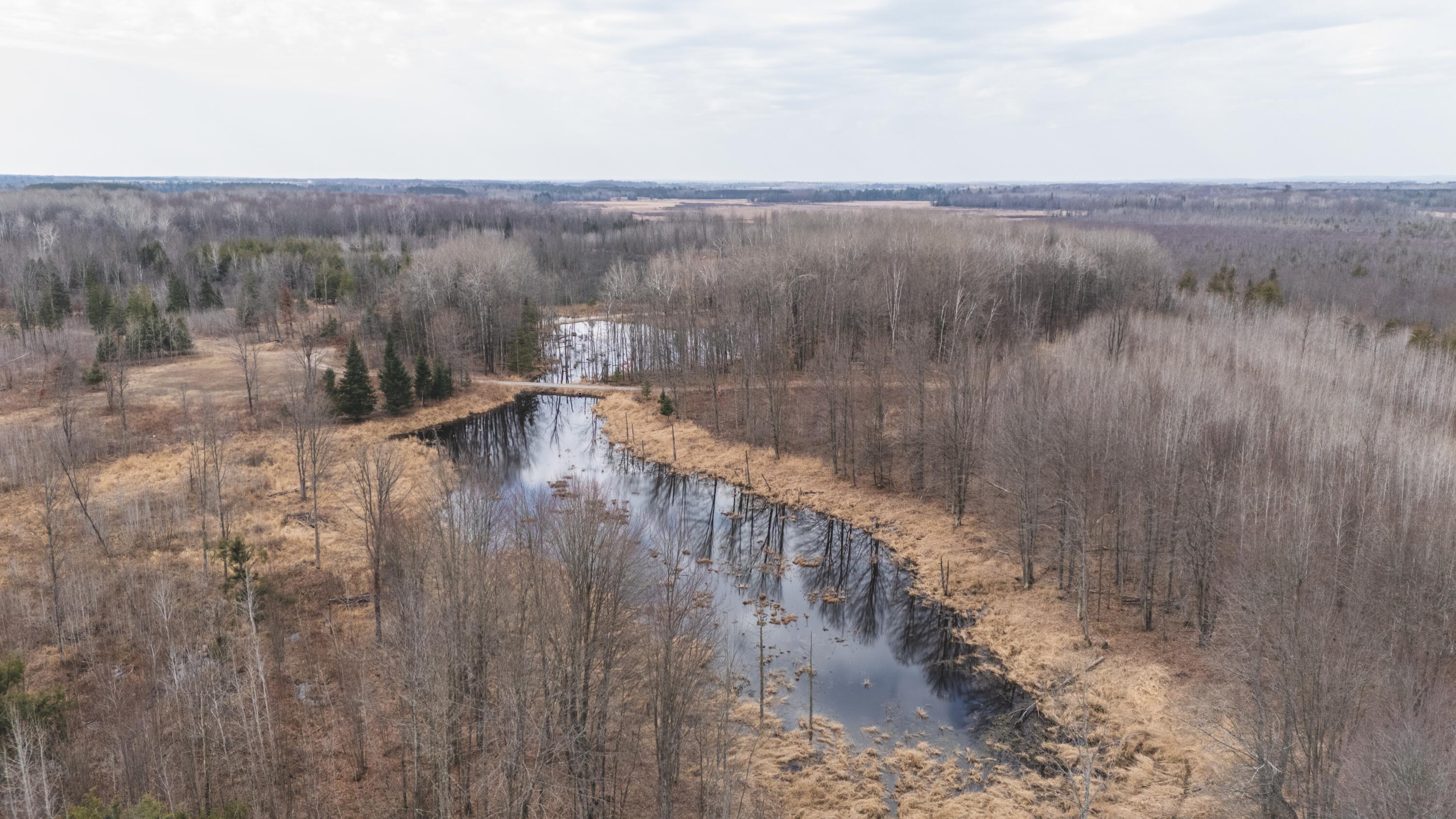 11048 Wilson Road Marion, MI 49665 - Photo 59 of 89 Clare-64