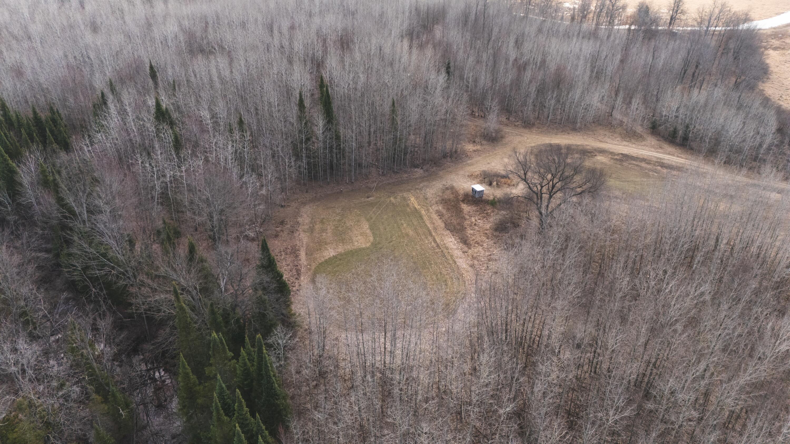 11048 Wilson Road Marion, MI 49665 - Photo 62 of 89 Copy of Copy of Drone-12