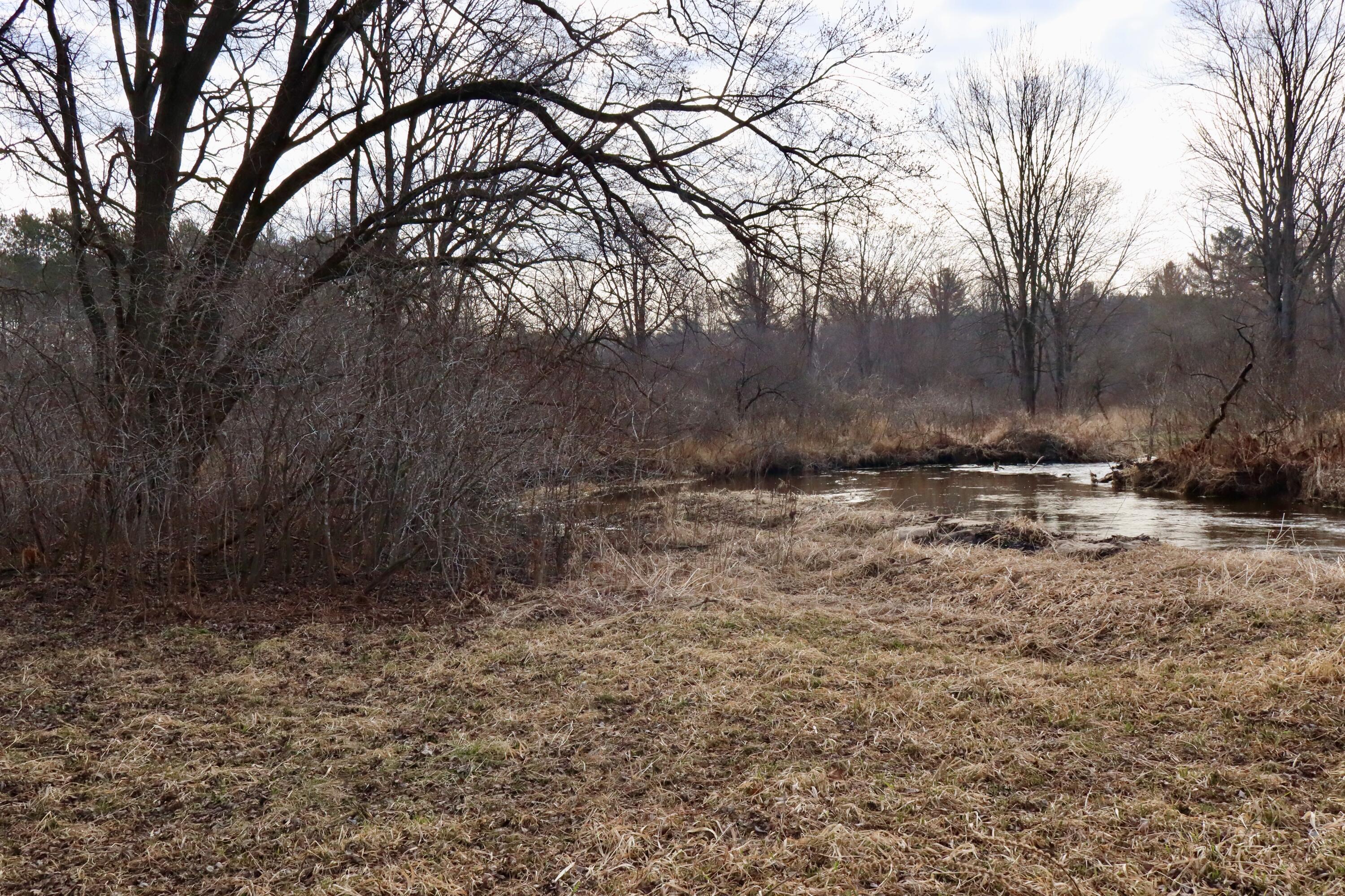 11048 Wilson Road Marion, MI 49665 - Photo 69 of 89 IMG_0424