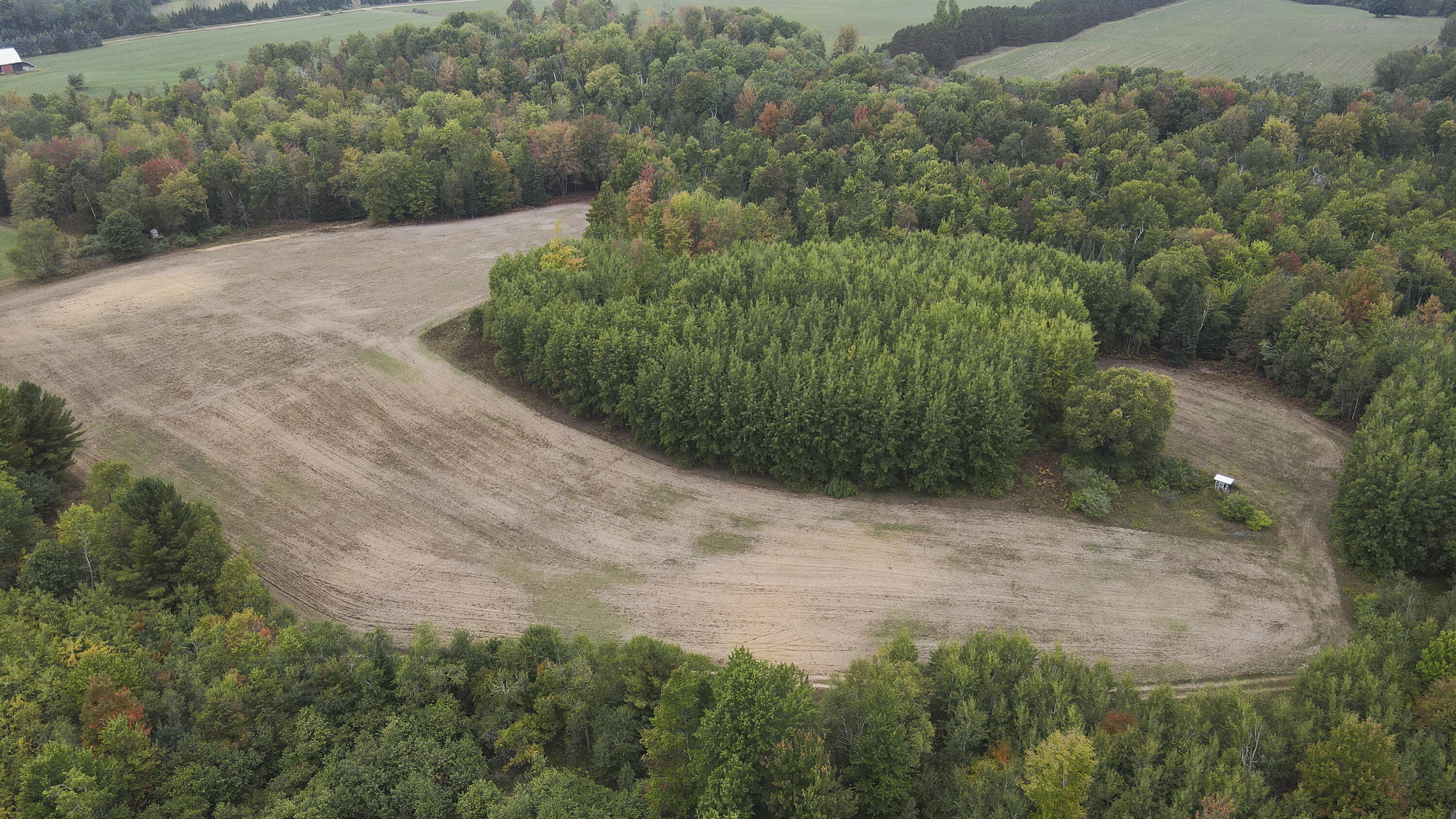 11048 Wilson Road Marion, MI 49665 - Photo 7 of 89 005a