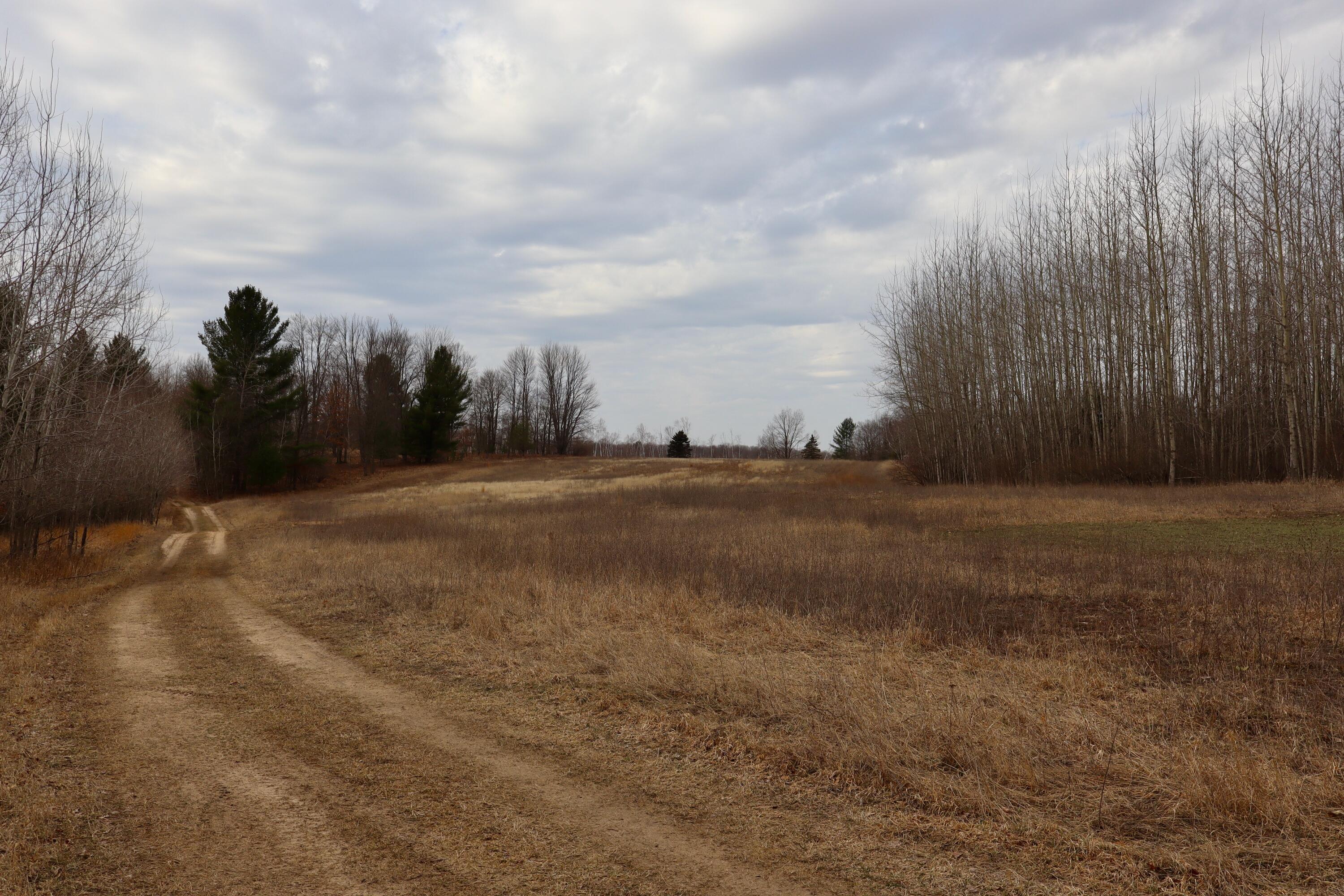 11048 Wilson Road Marion, MI 49665 - Photo 71 of 89 IMG_0512