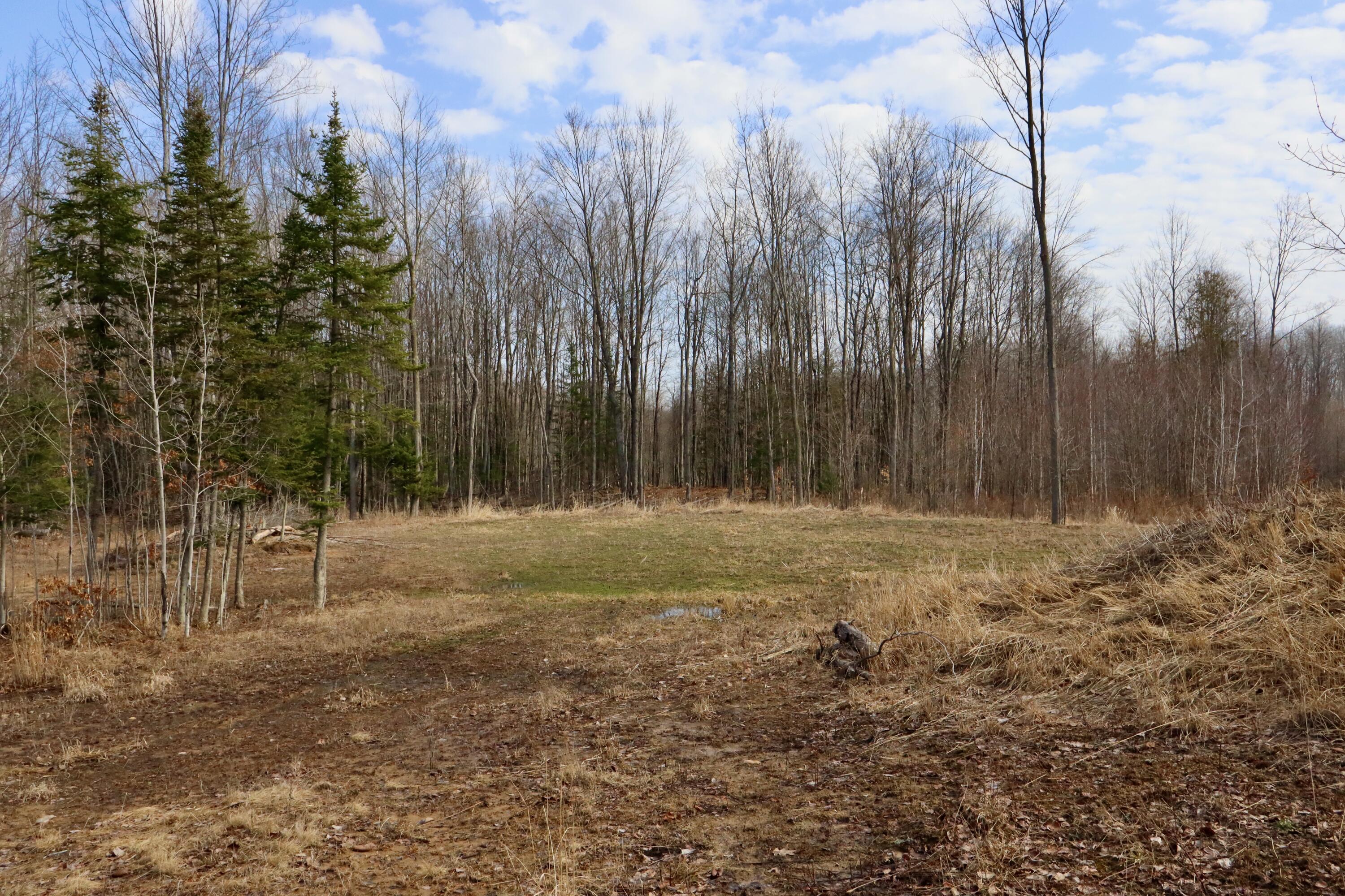 11048 Wilson Road Marion, MI 49665 - Photo 79 of 89 IMG_0541