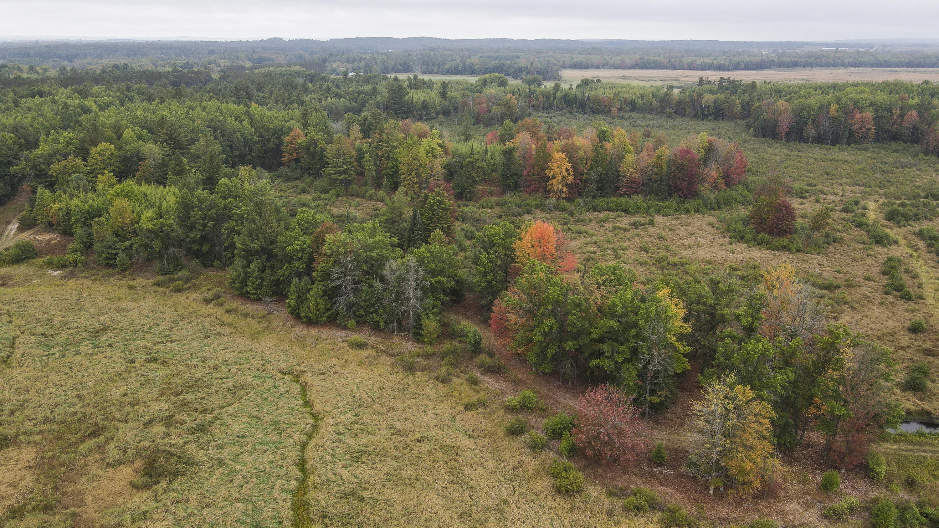 11048 Wilson Road Marion, MI 49665 - Photo 9 of 89 006(1)