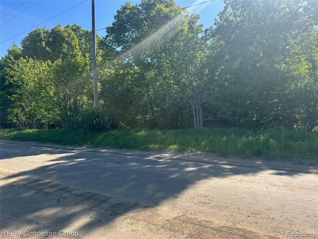 2681 Fisk Road Howell, MI 48843 - Photo 8 of 19