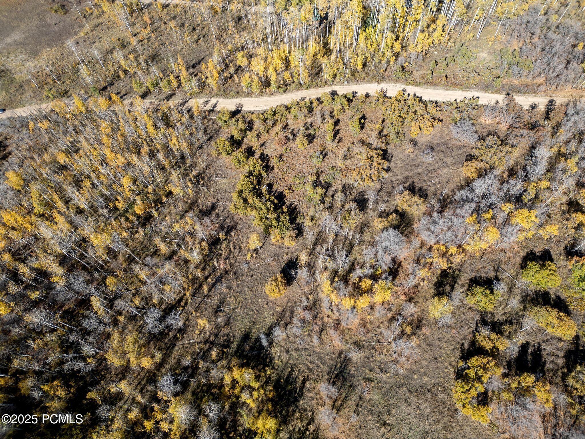 276 West Bear Tooth Ridge Coalville, UT 84017 - Photo 10 of 16