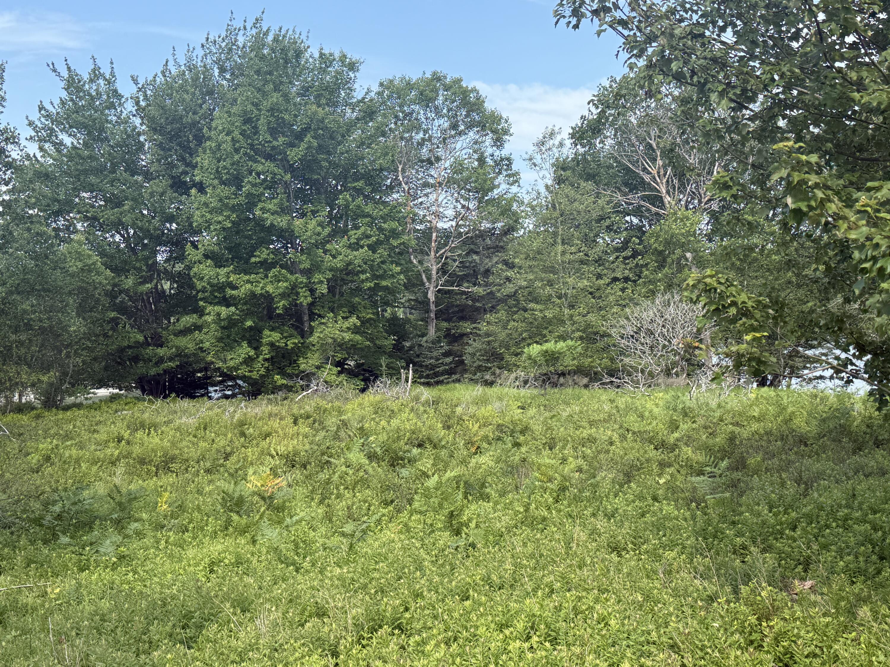 6-60 Round The Island Road Vinalhaven, ME 04863 - Photo 8 of 23