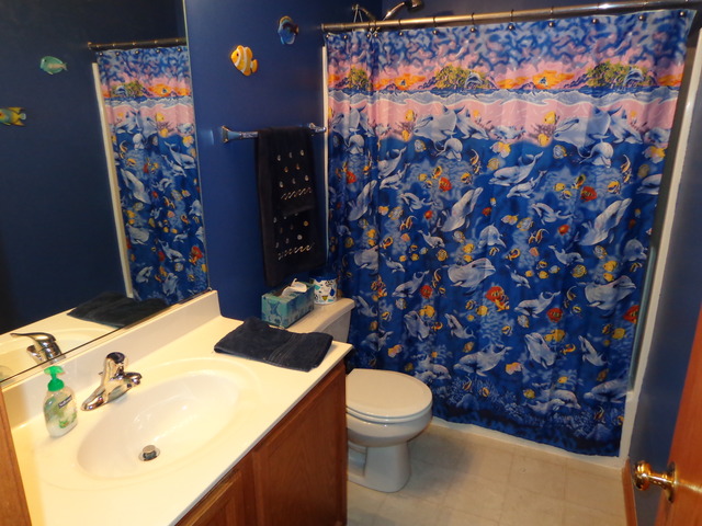 2217 Ashby Lane Plainfield, IL 60586 - Photo 13 of 20 a bathroom with a sink toilet and shower