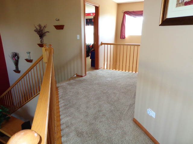 2217 Ashby Lane Plainfield, IL 60586 - Photo 14 of 20