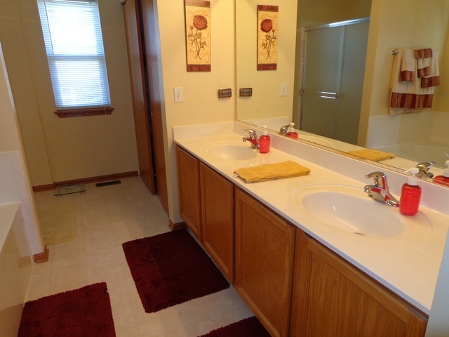 2217 Ashby Lane Plainfield, IL 60586 - Photo 9 of 20 a bathroom with a sink and a mirror