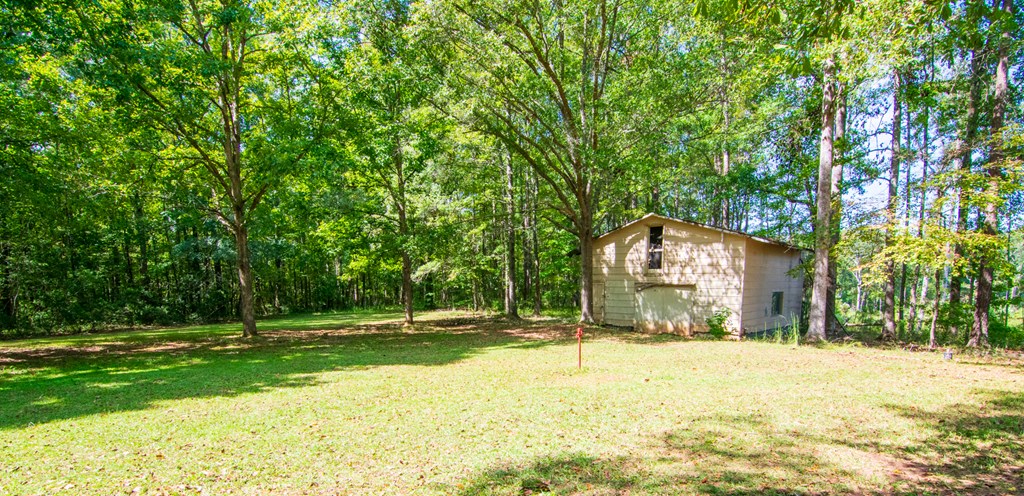 2031 Alabama Road Waverly Hall, GA 31831 - Photo 52 of 55 Gallery Image 52