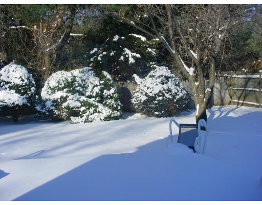 38 Elmwood Road Needham, MA 02492 - Photo 4 of 4 a view of a yard with a tree