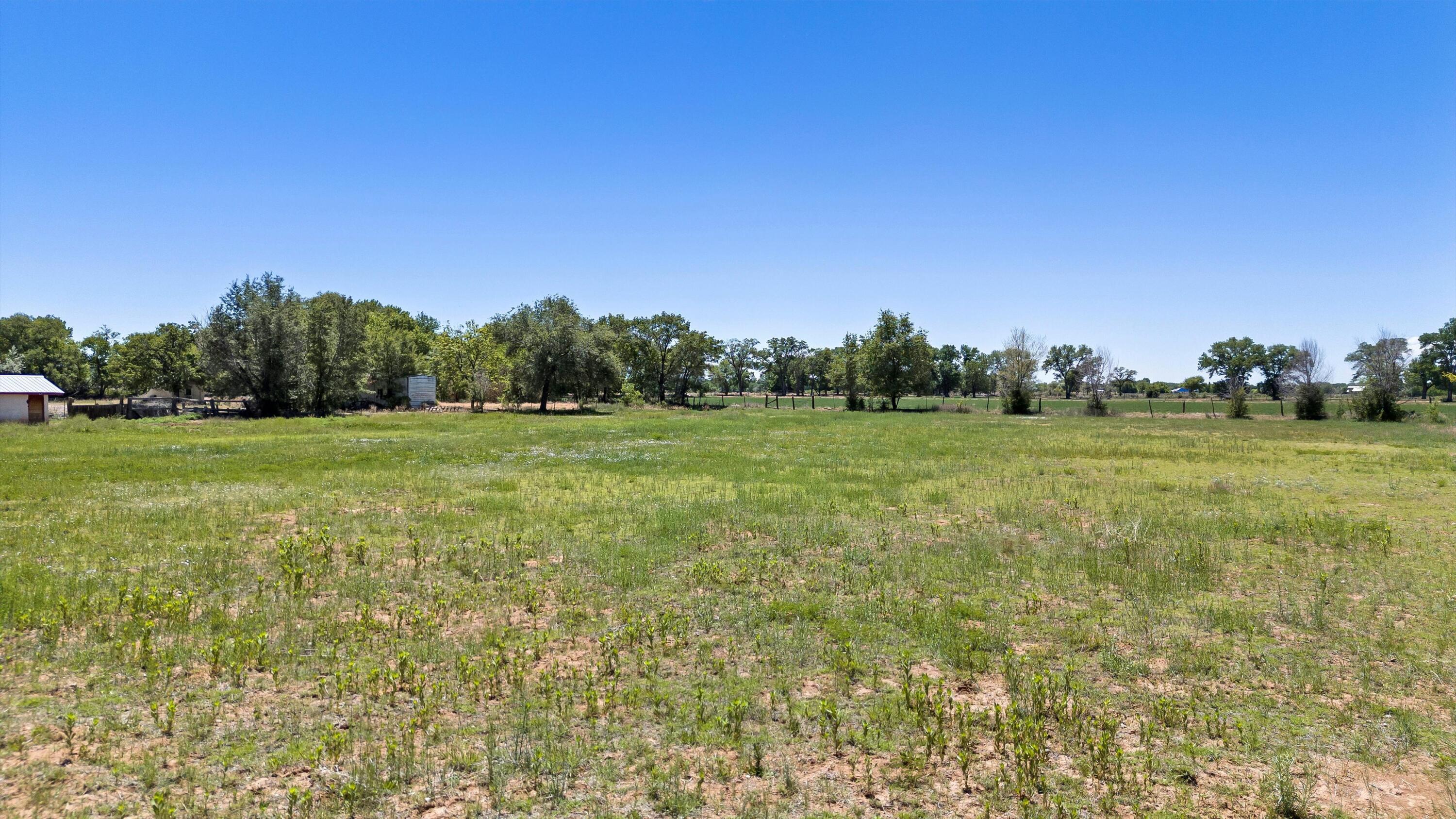 1227 East River Road Belen, NM 87002 - Photo 15 of 18 Gallery Image 15