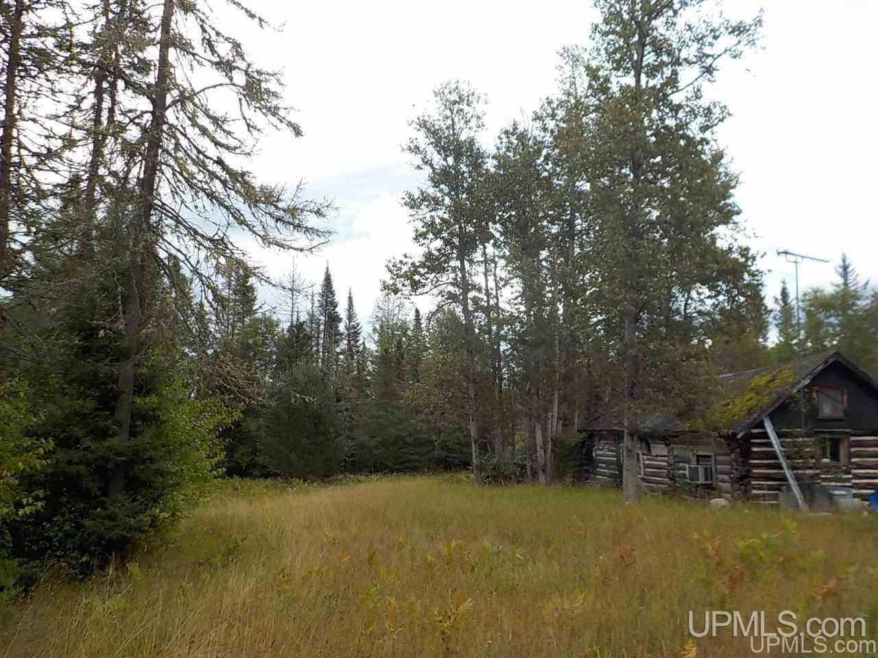 196.2-ac East Cable Lake Road Crystal Falls, MI 49920 - Photo 1 of 17