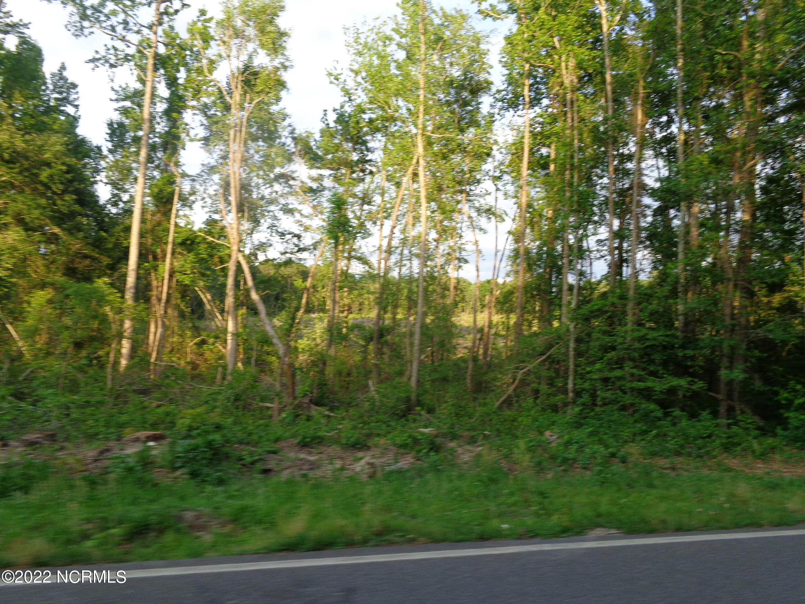 417 Dockery Road Rockingham, NC 28379 - Photo 11 of 18 The uncleared section is small strip.