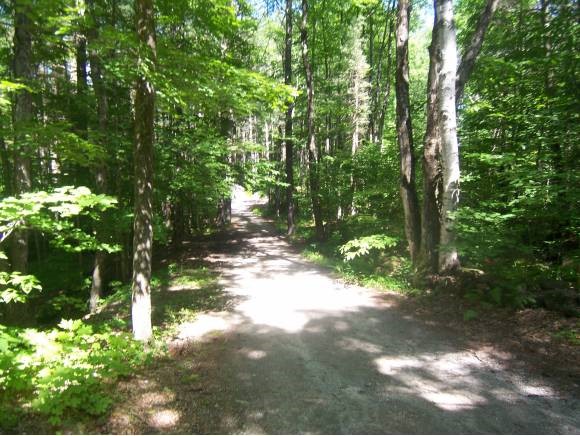 54 John Connor Road Weare, NH 03281 - Photo 1 of 1 Gallery Image 1